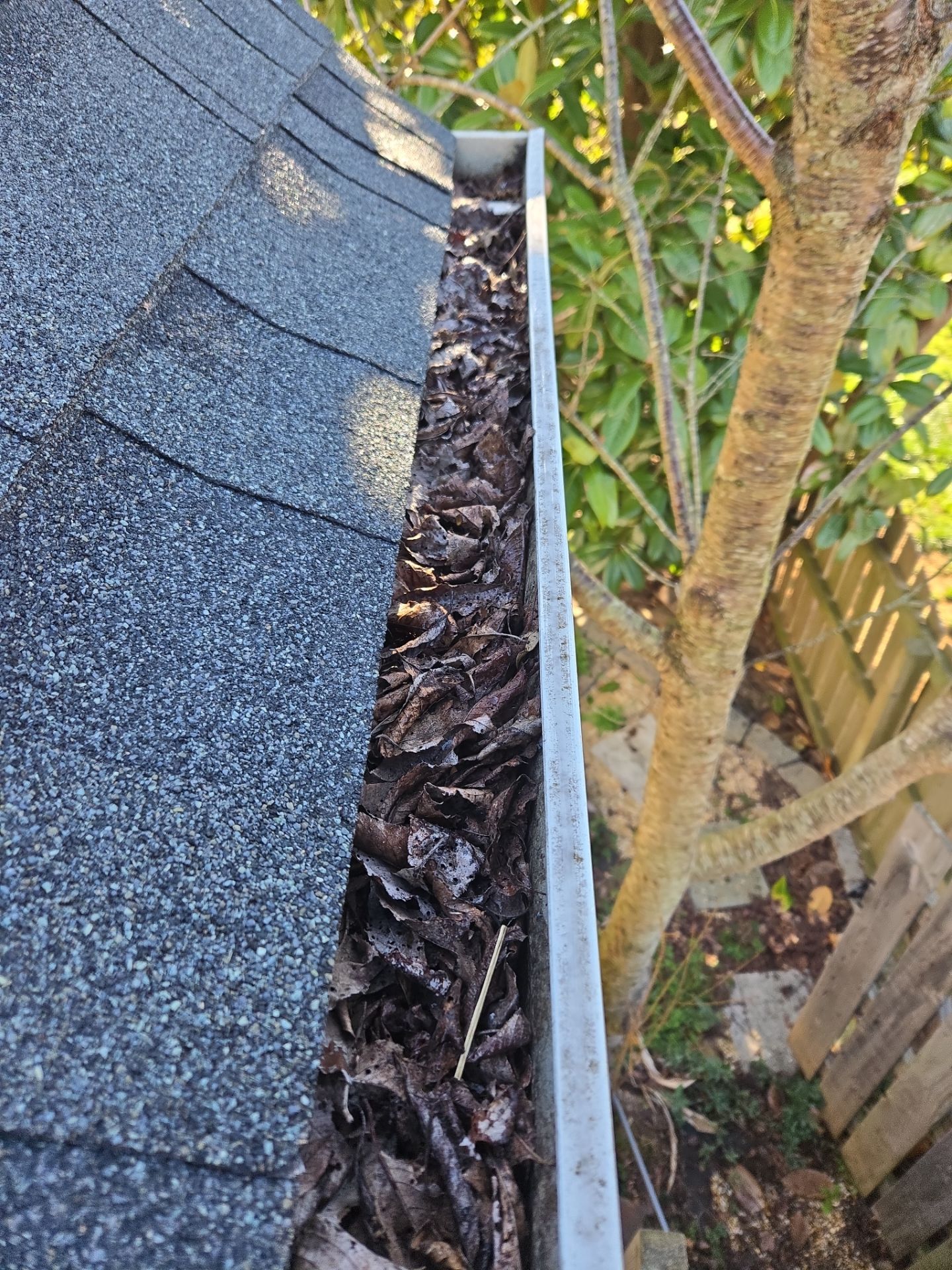 House Wash using cleaner by Power Wash Masters LLC