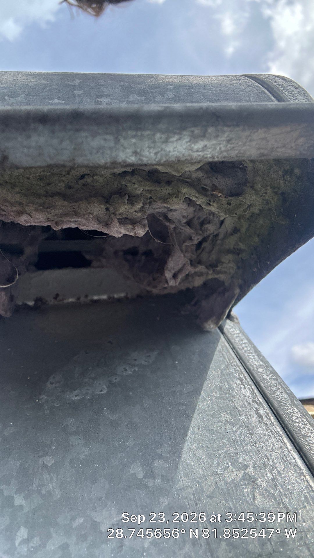 Dryer Vent Lint Removal in Leesburg by Hygienic Air, Inc