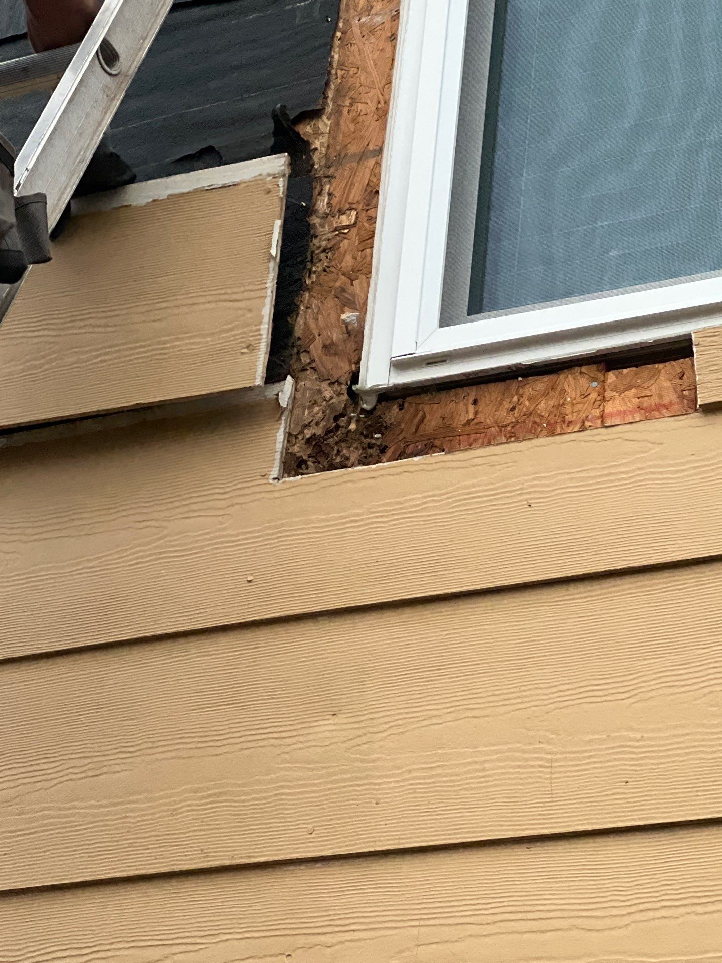 Steep? No Problem! by Bayfront Roofing and Construction