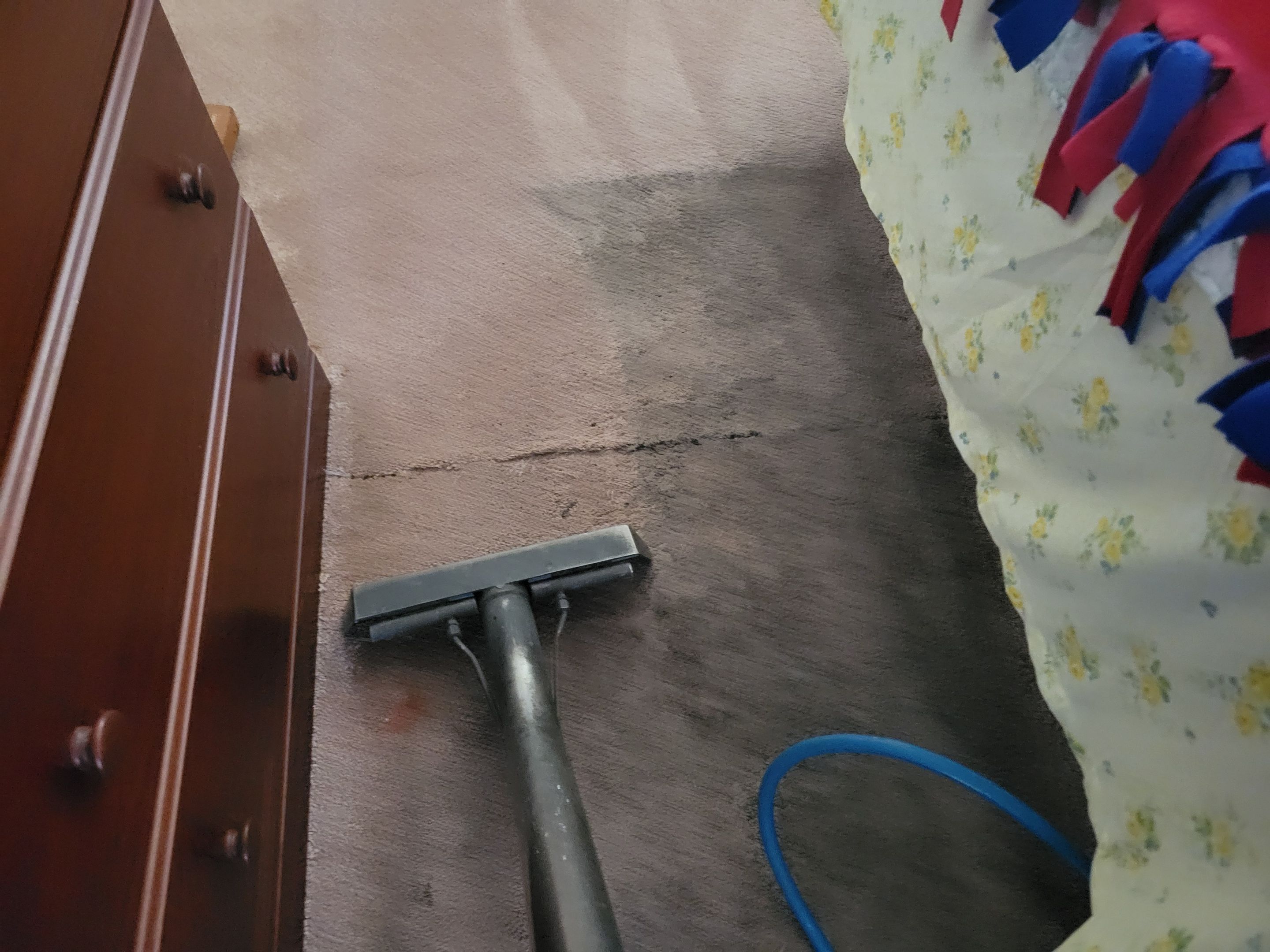 Heavy Carpet Cleaning by Ardent Carpet Restore LLC