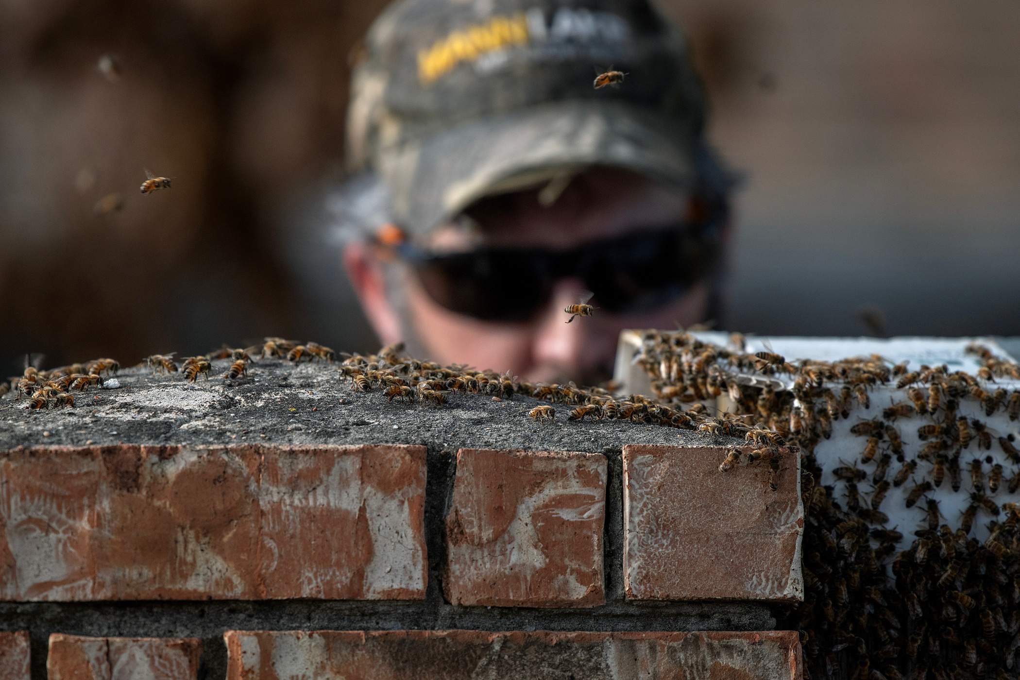 Brick Column by Rockwall Honey Bee Company