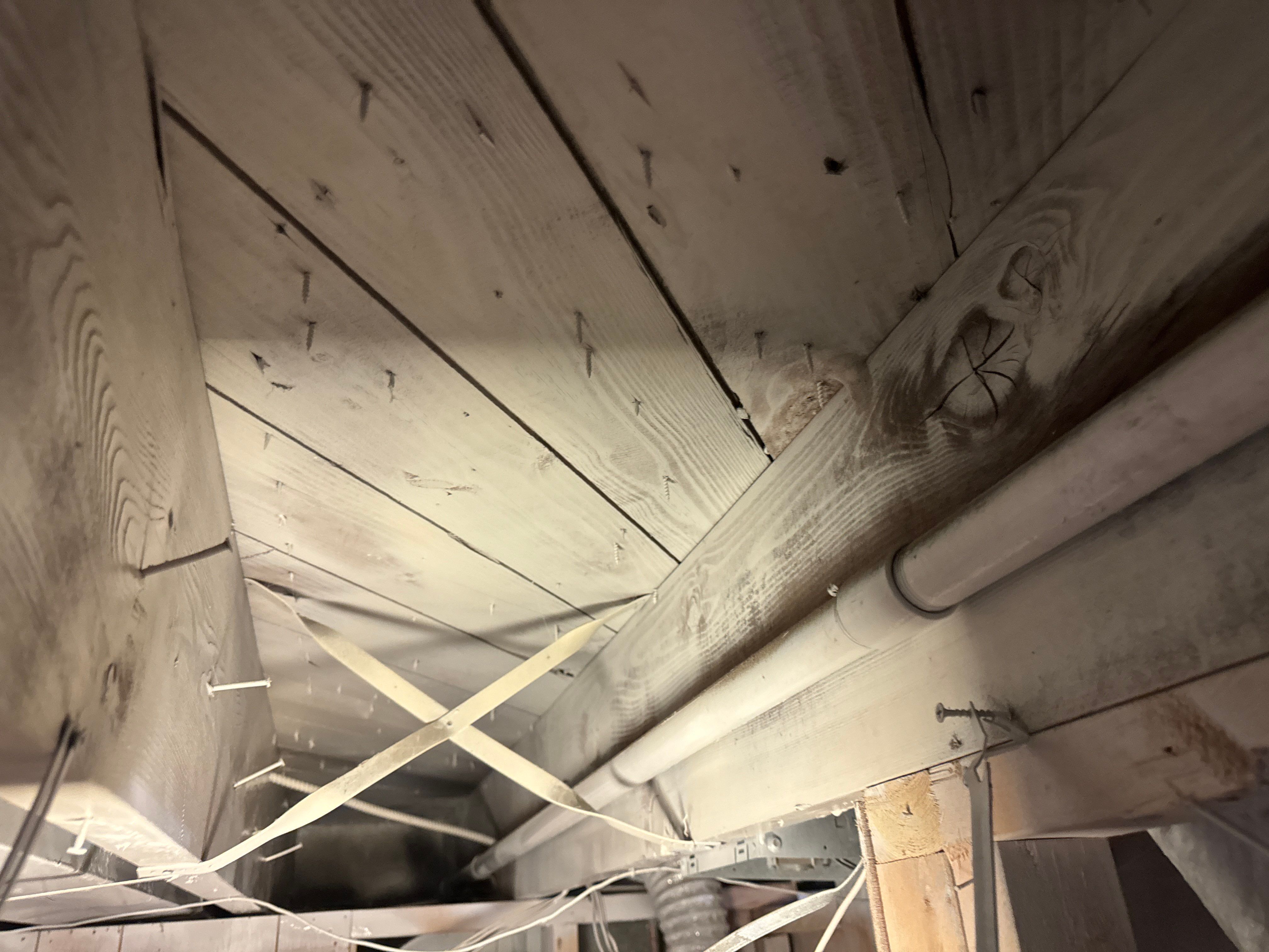 Interior French Drain & Mold Remediation Little Falls NJ by Pure Service Pro, LLC 