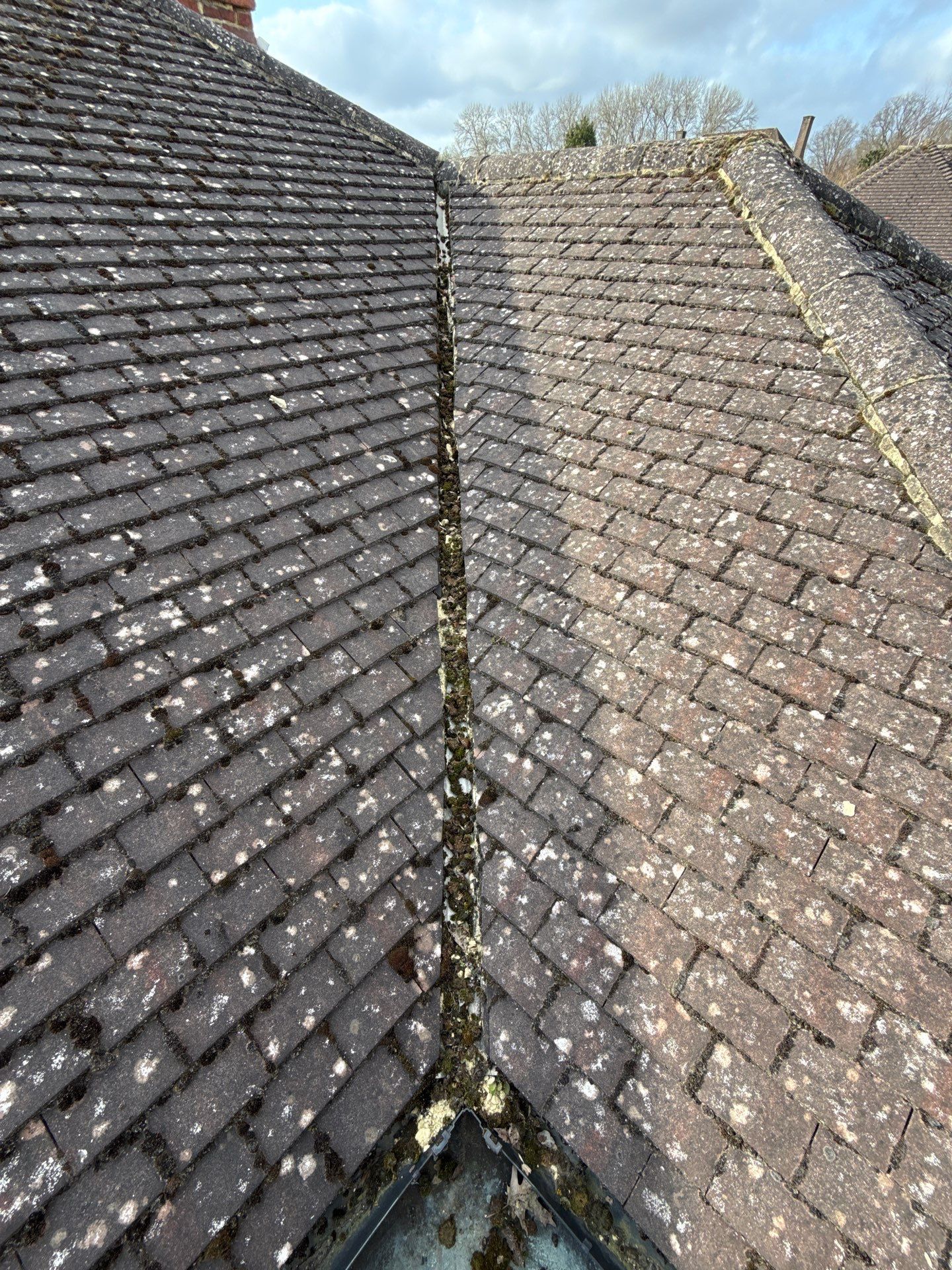 Roof Clean  - Moss Removal - Gutter Clean using Honda 15lpm Low Pressure Washing Machine by Ges Exterior Cleaning ltd