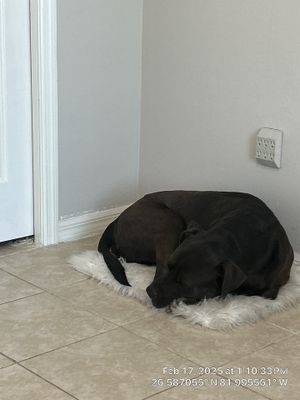 Bedroom Addition using Drywall