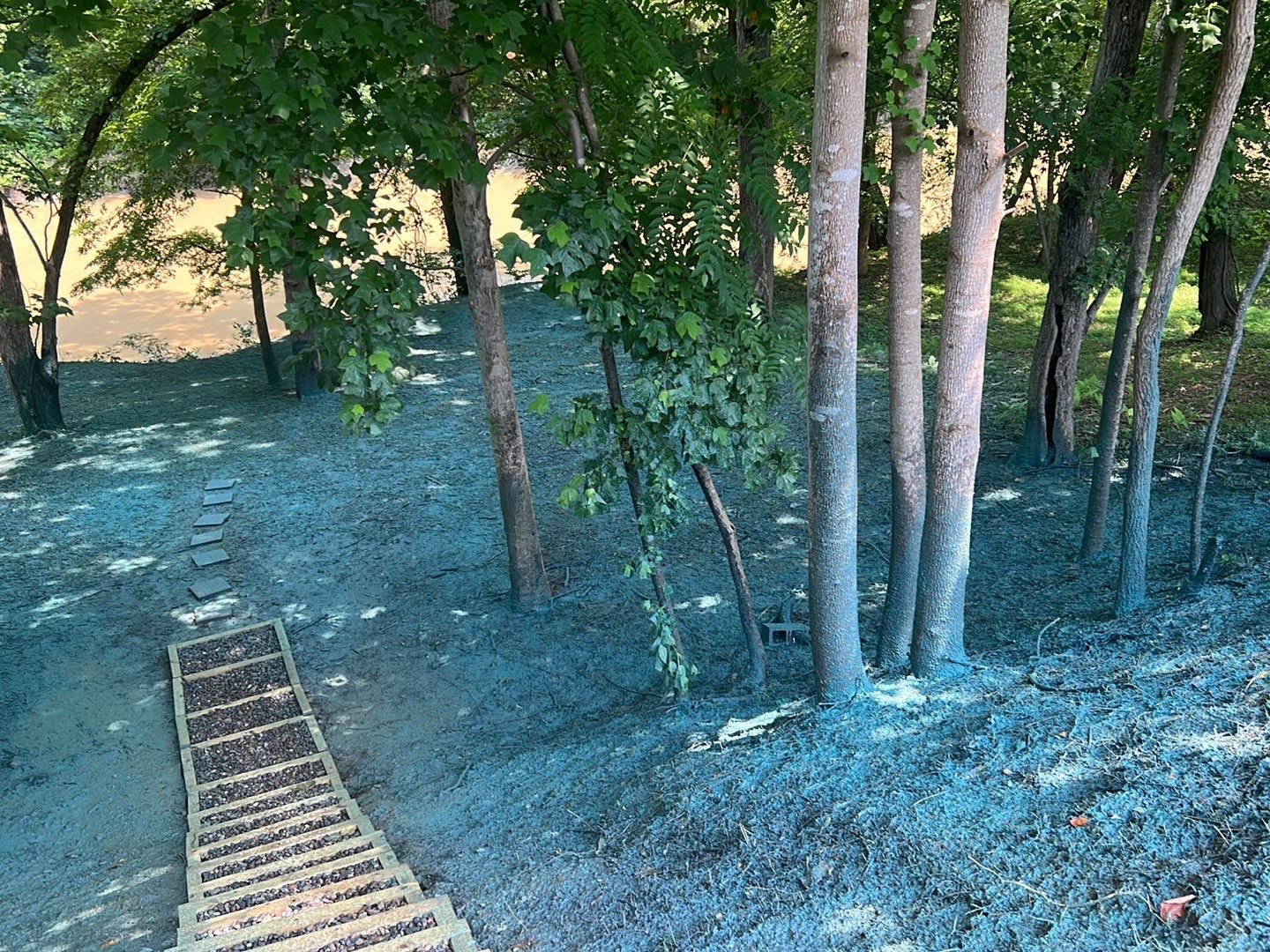 Gain unused yard space by GrassBusters, Inc.