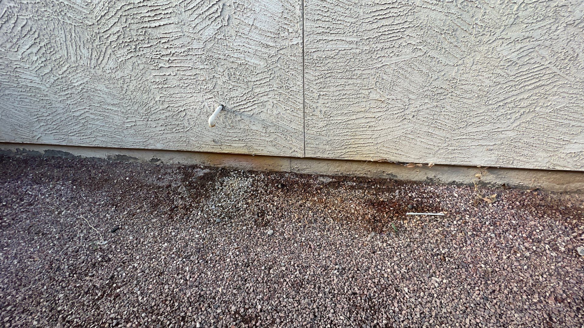 Exterior Painting using Dunn-Edwards EVERSHIELD®  by Crash of Rhinos Painting & Garage Floors