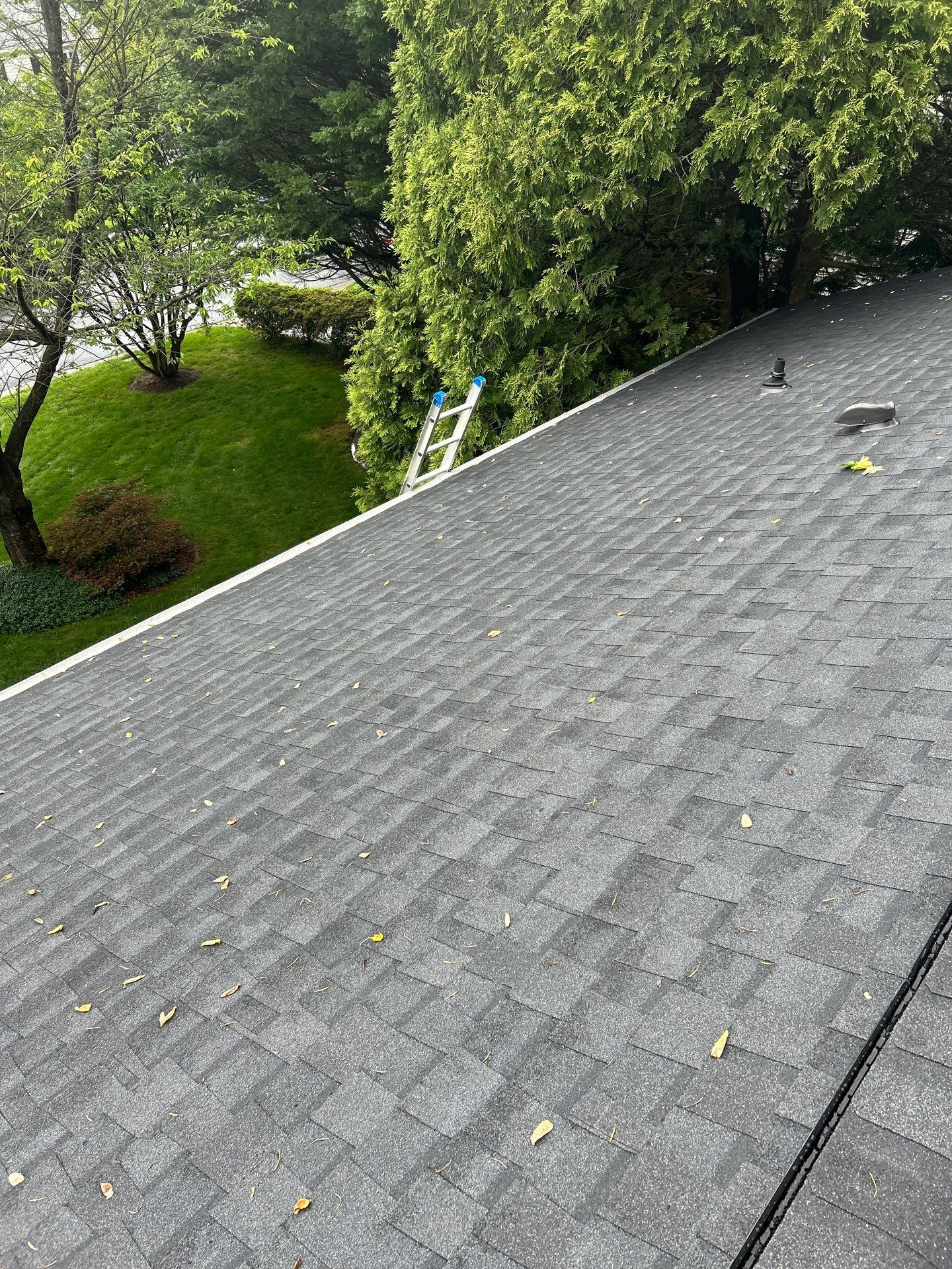 Burke: CertainTeed Landmark Designer Shingles in Moire Black by RM Banning, Inc.