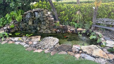 A Beautiful Relaxing Koi Pond with Waterfall in Pinecrest