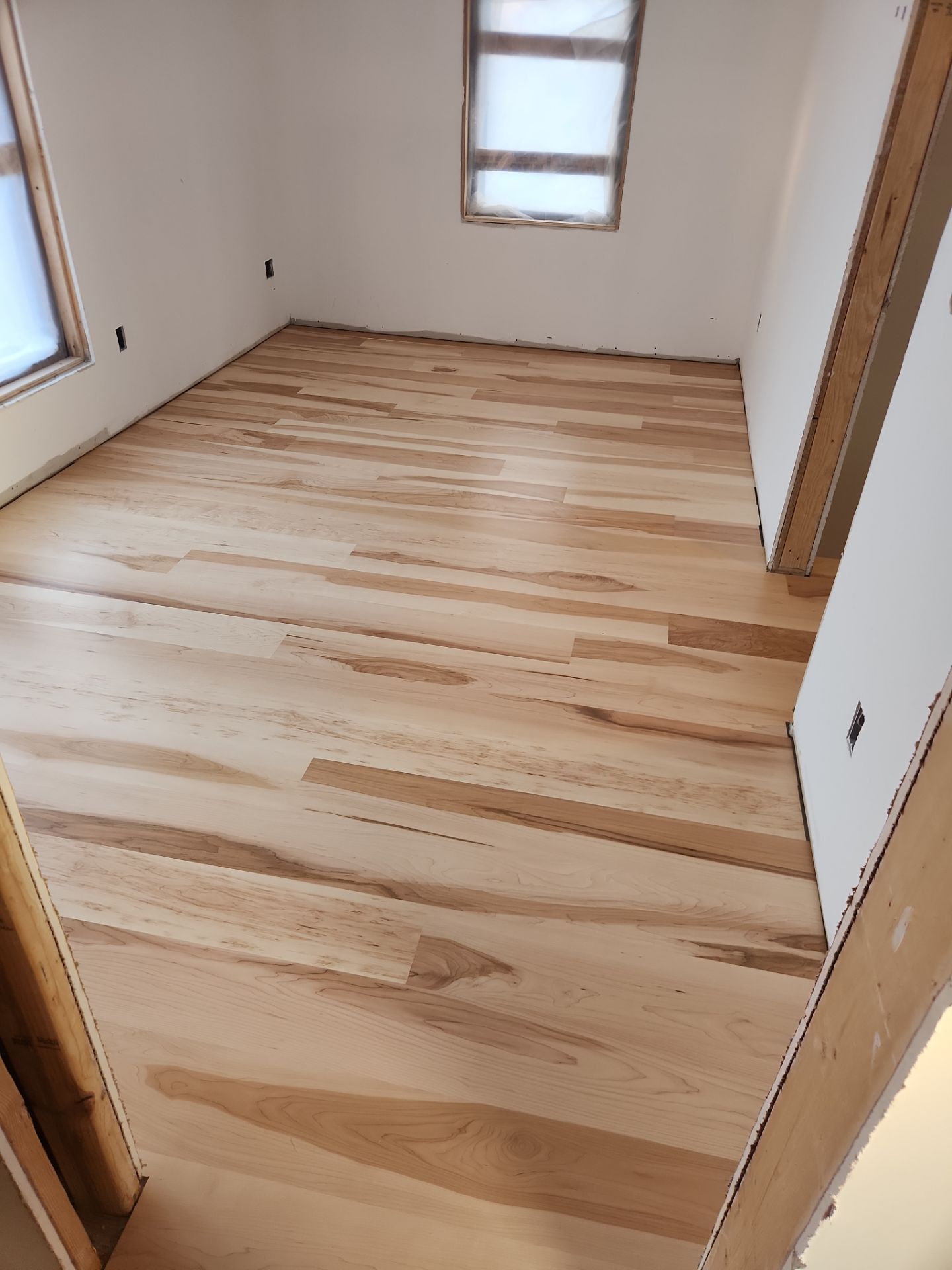 Full glue down Installation over radiant heat 7" Maple character grade by Ann Arbor Hardwoods 