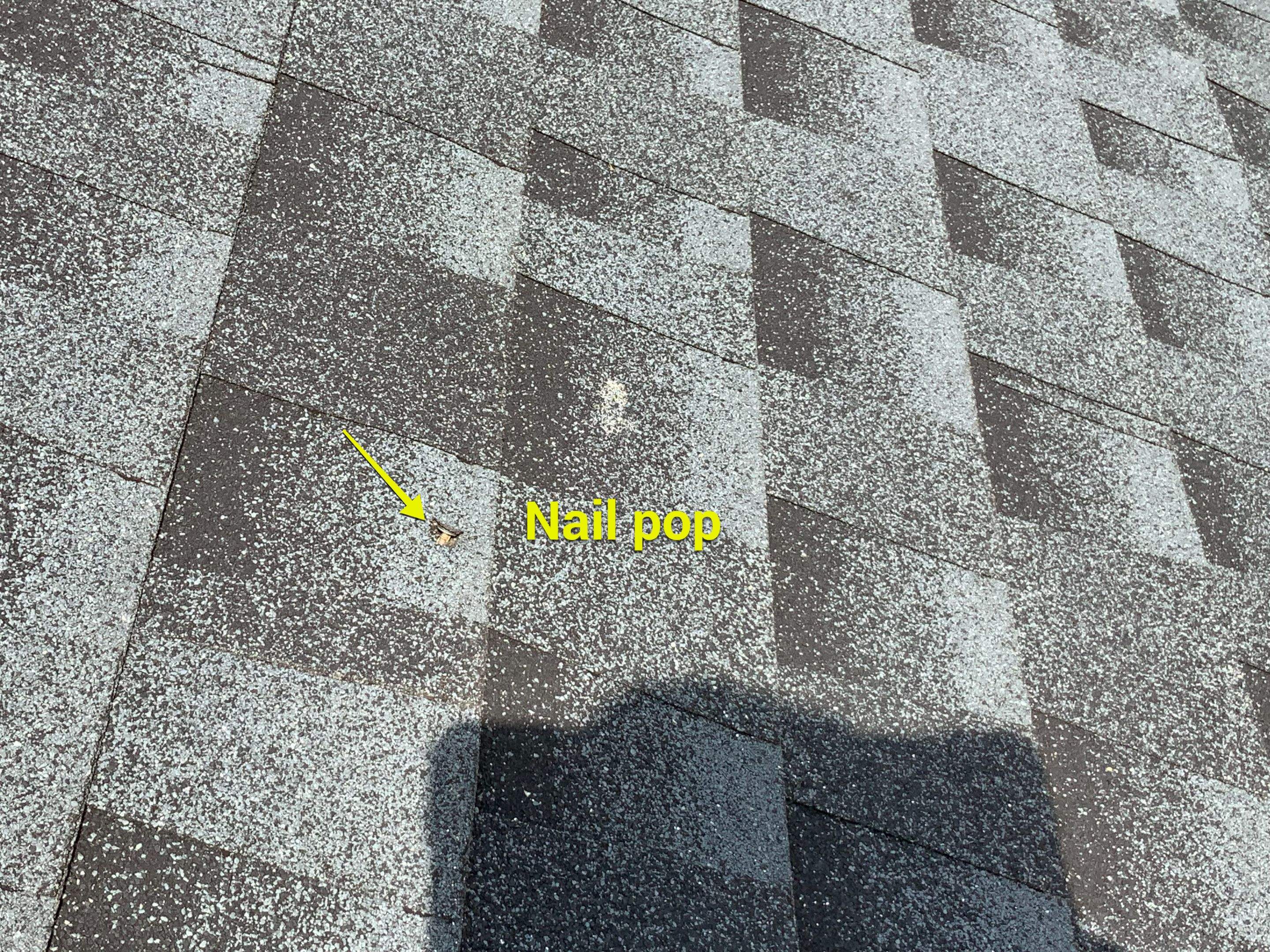 Residential Roofing Repair using Ridge Vent  by Alpha Design Services
