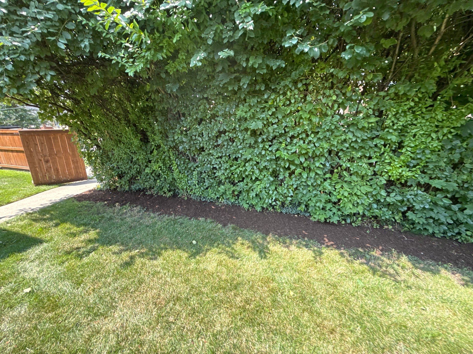 Nancy M. - Park Ridge, IL by A&N