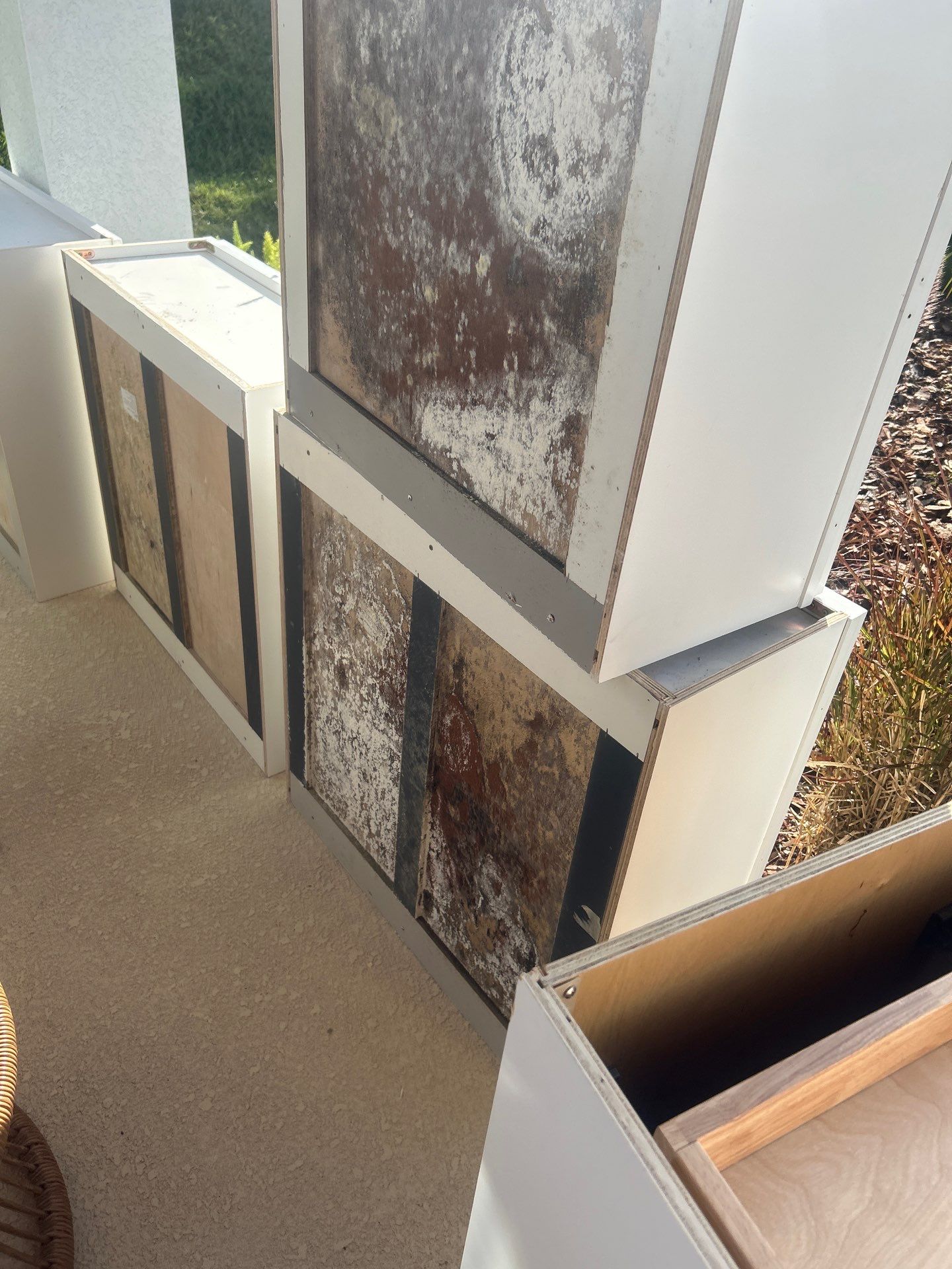 Mold Removal In Bradenton FL by Ampm Restoration Services