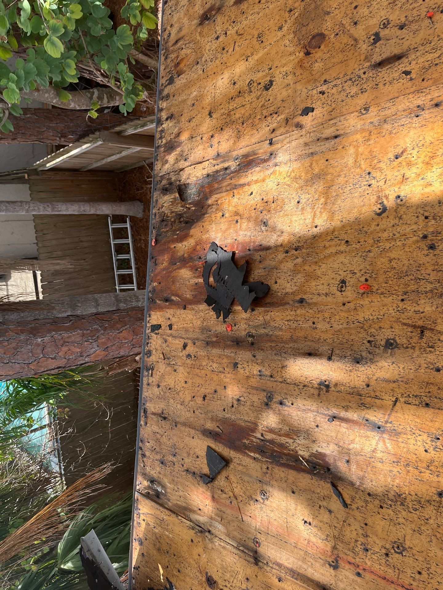 Project in Seminole 33776 by Mitchell Roofing Company LLC