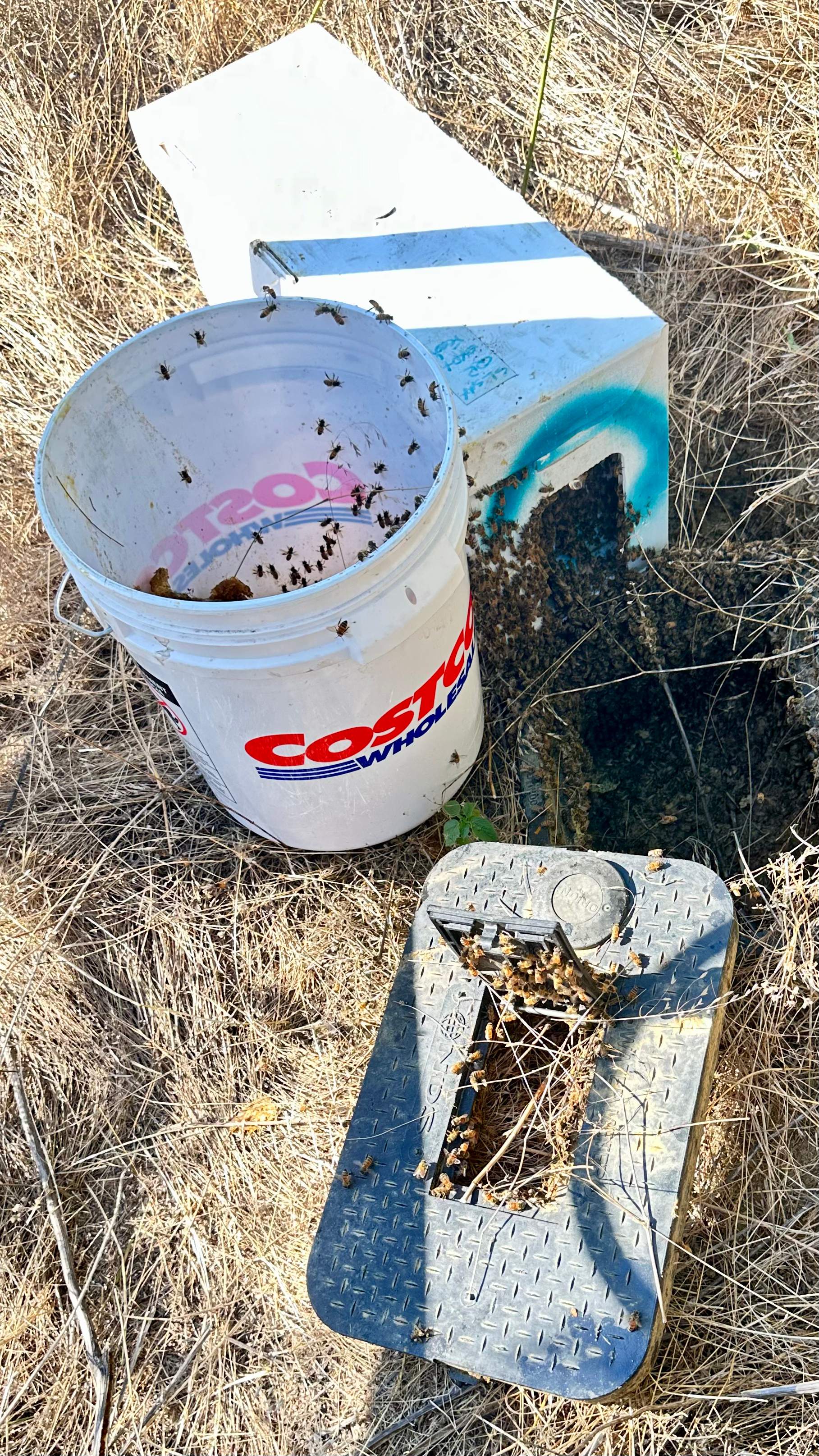 Well Meter by Rockwall Honey Bee Company