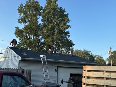 Project in Albany, IN