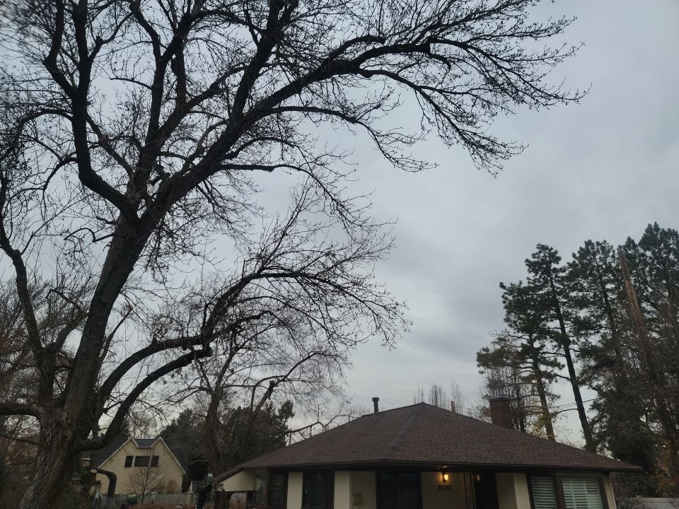 Residential Roofing Installation using GAF Timberline HDZ - Lifetime Shingle by The Roof Doctor