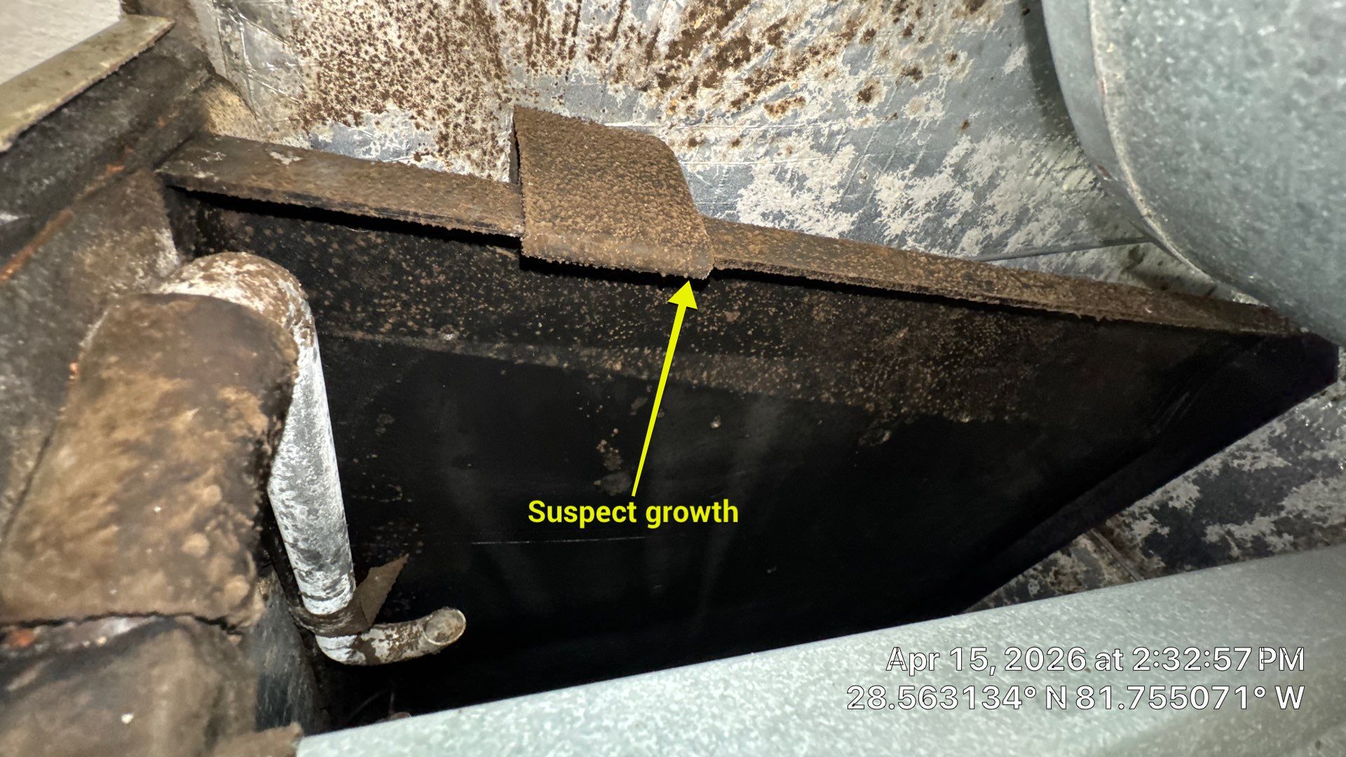 Air Duct Cleaning in Clermont by Hygienic Air, Inc