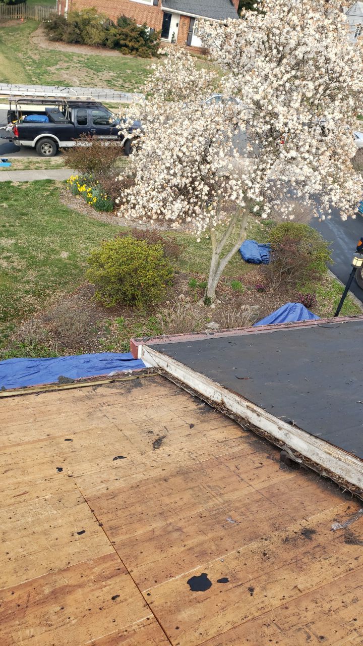 McLean: CertainTeed Landmark Designer Shingles in Charcoal Black by RM Banning, Inc.