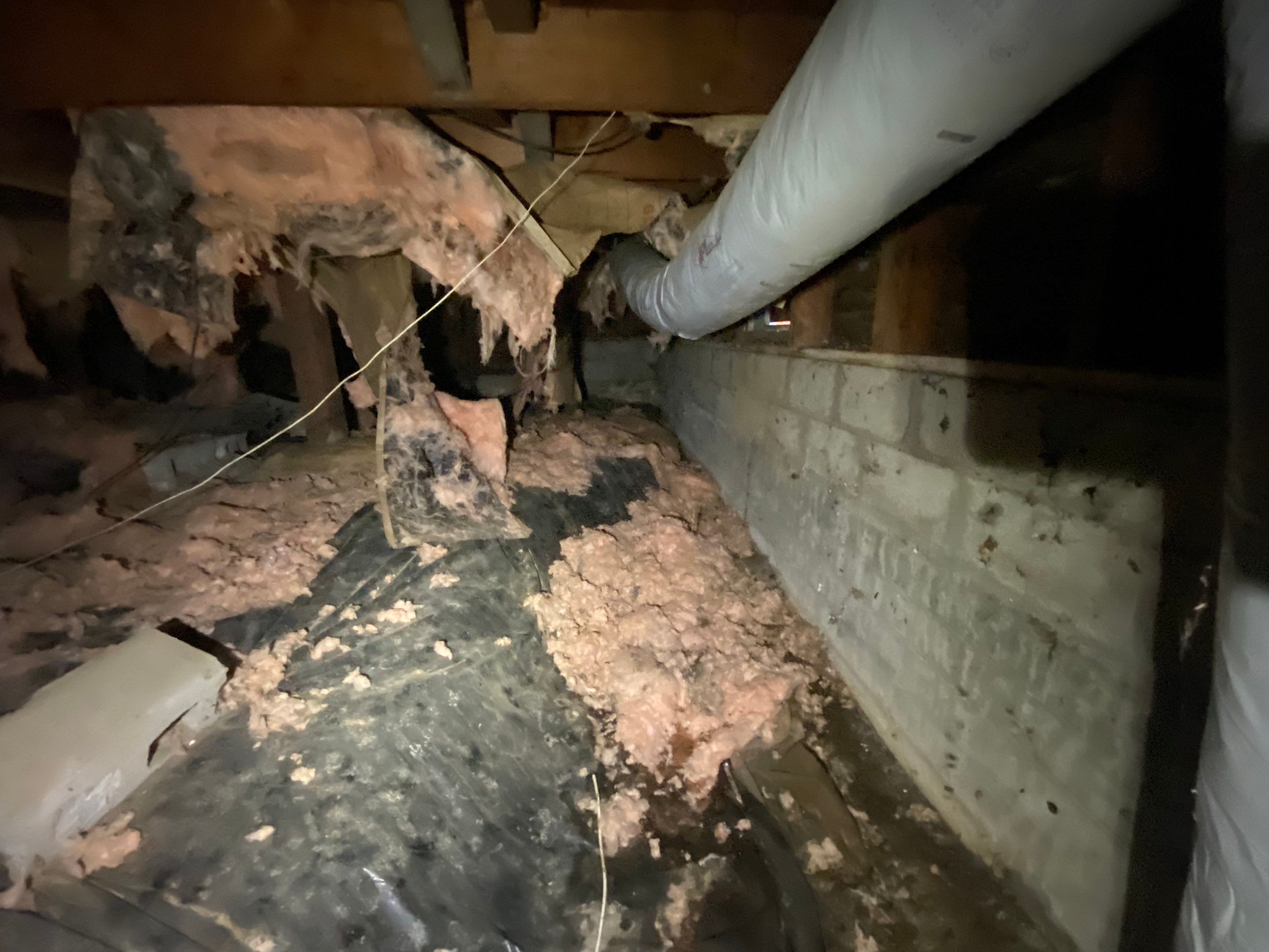 Crawlspace Transformation by Hausmeister Home Services INC