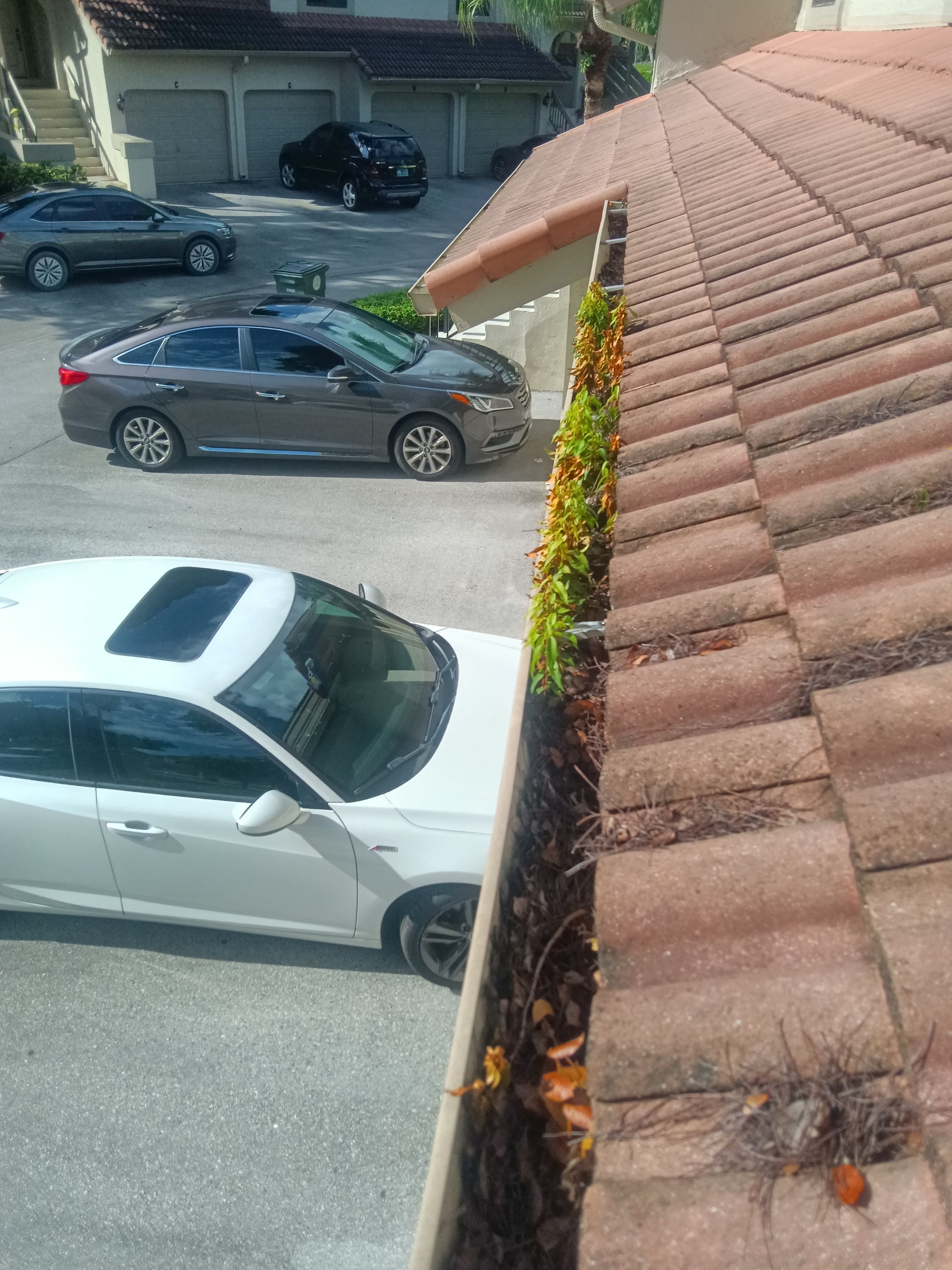 HOA gutter cleaning before