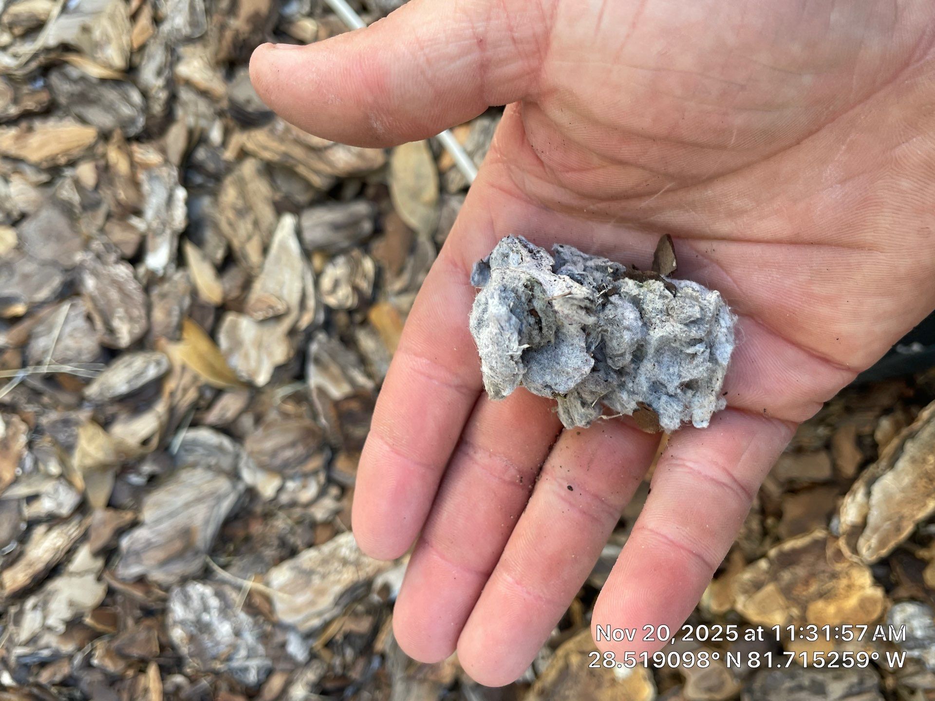 Air Duct and Dryer Vent Cleaning in Clermont by Hygienic Air, Inc