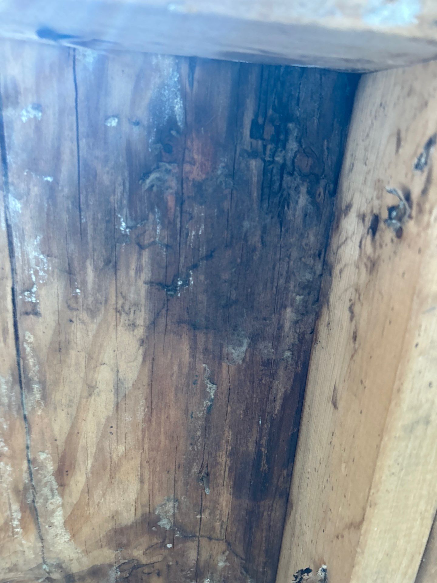 Mold Removal In Bradenton FL  by Ampm Restoration Services 