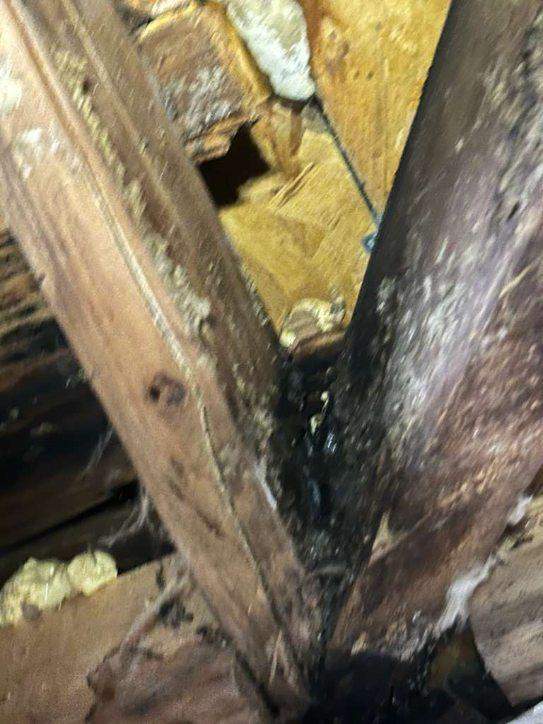 Roof Leak Repair + Fascia/Drip Edge & Gutter Reset - Belleville, IL by Legendary Services Company LLC.