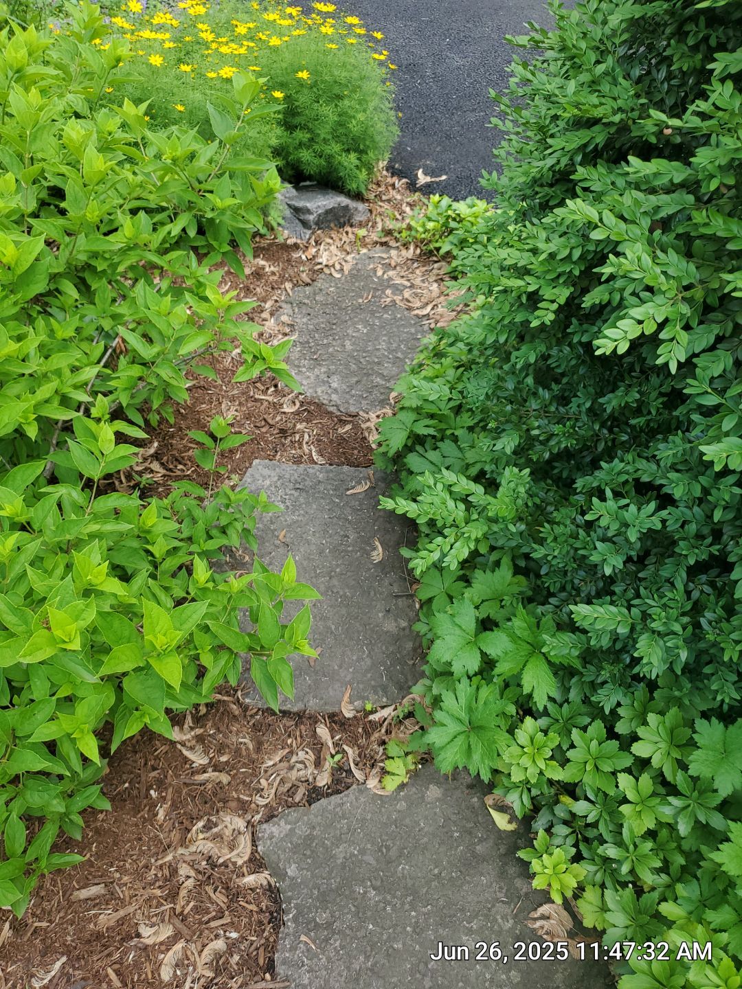 Glenview stone repair, and cleaning by Northern Power Washing LLC.