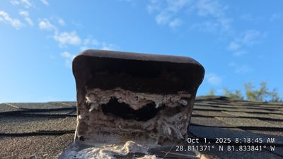 Dirty Dryer Vent in Leesburg