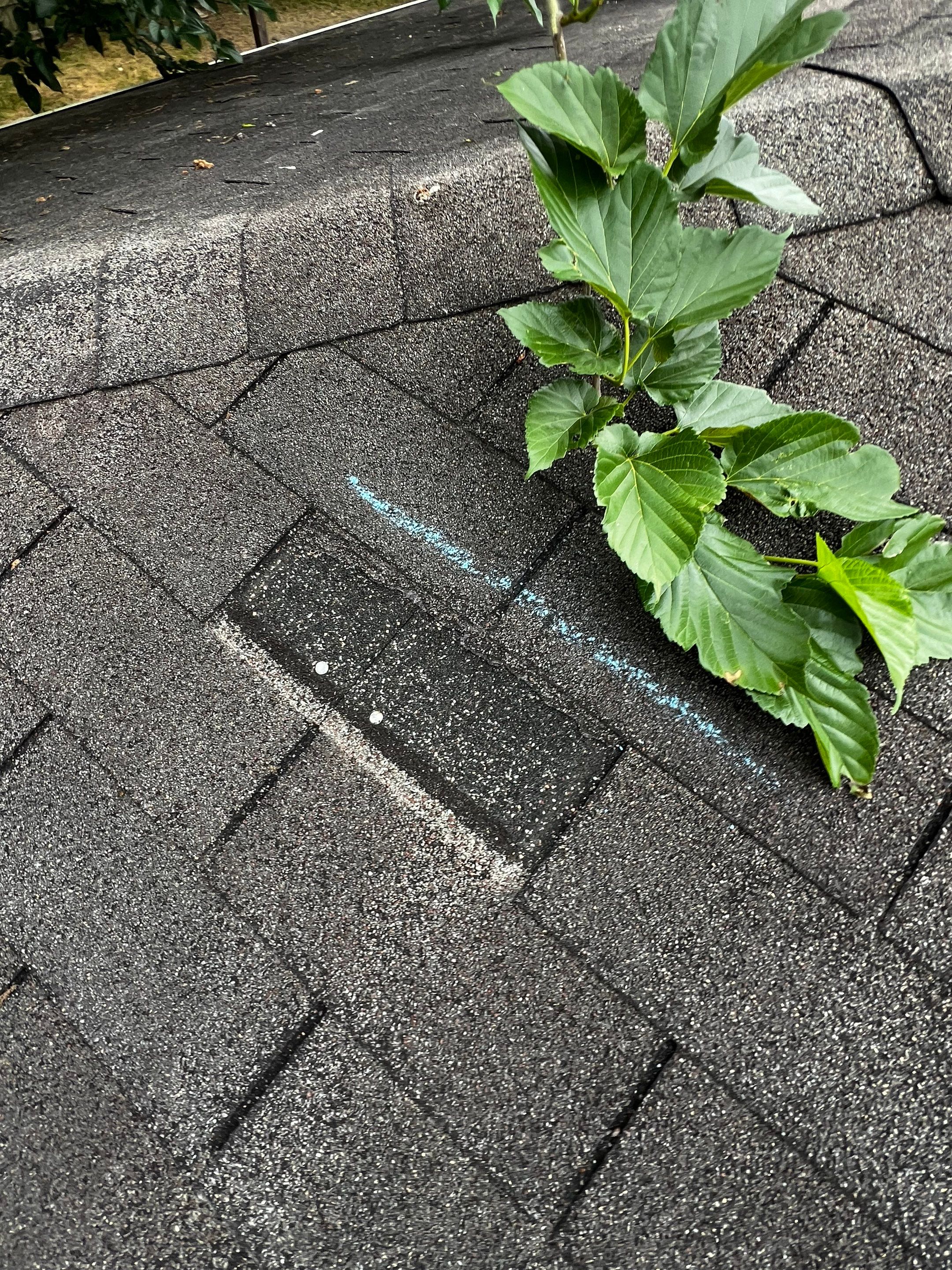 Roof Repair Spring by Roof Repair Company