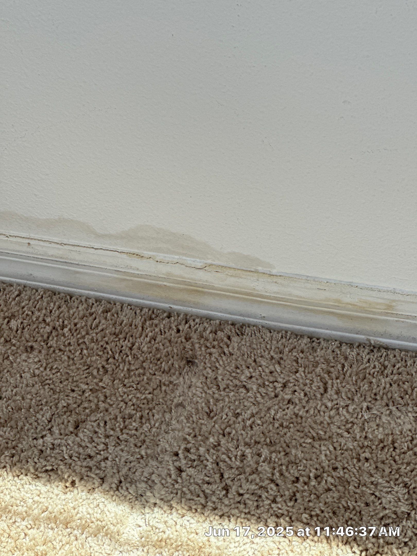 Moisture intrusion inspection with air quality testing by Building performance Solutions LLC