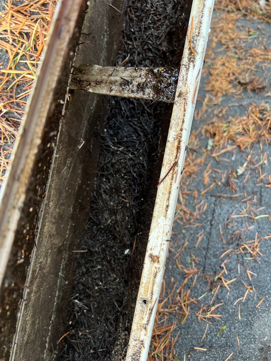 Home Claening Project in Lake Oswego by Cloud 9 Professional Cleaning Services