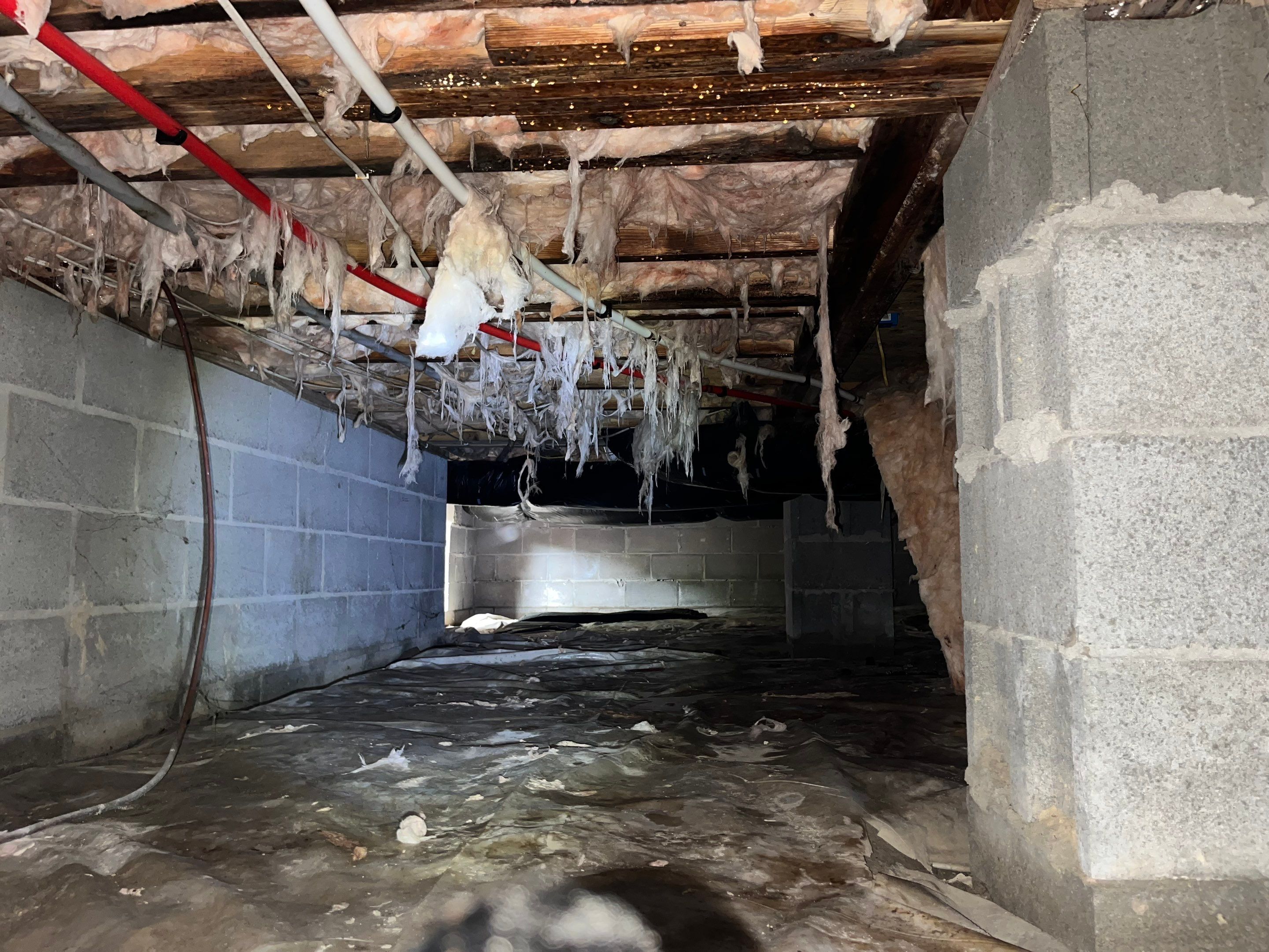 Premium Encapsulation with Bora-Foam using Bora-Foam Insulation by Impact Crawlspace