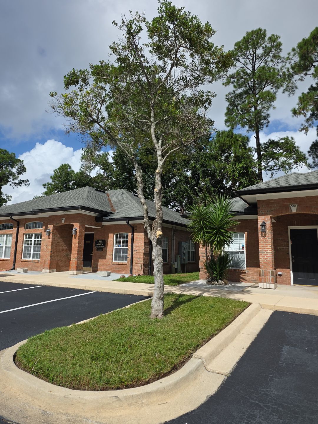 Commercial Property | Tree Removal & Trimming by ProGreen Services