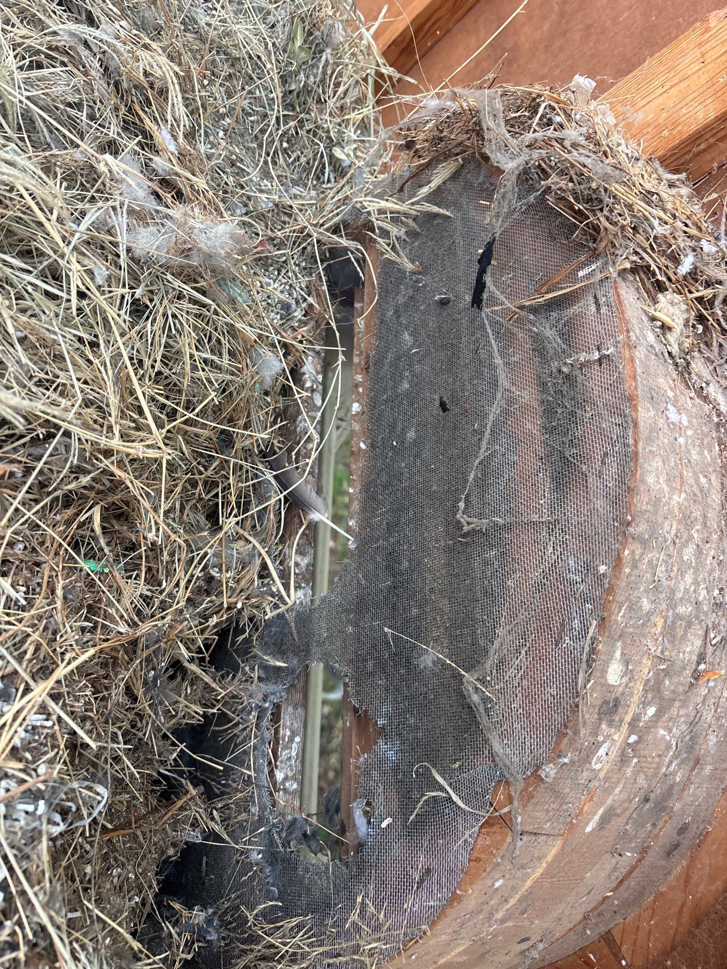 Reroof by Berry Good Roofing 