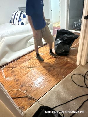 Black Mold Removal — Fort Myers, FL