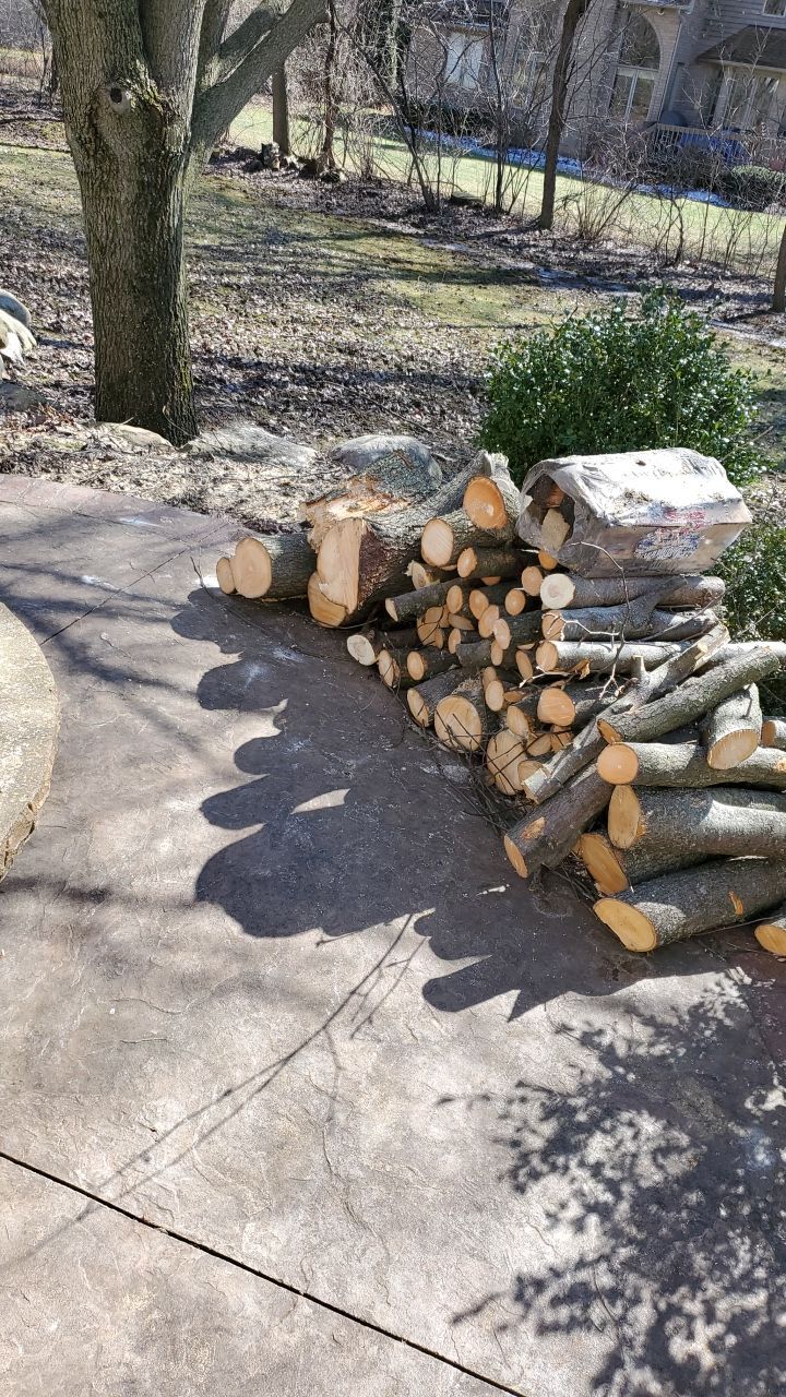 Tree Removal using Tree Removal by Mike Jones & Sons Tree Service LLC 