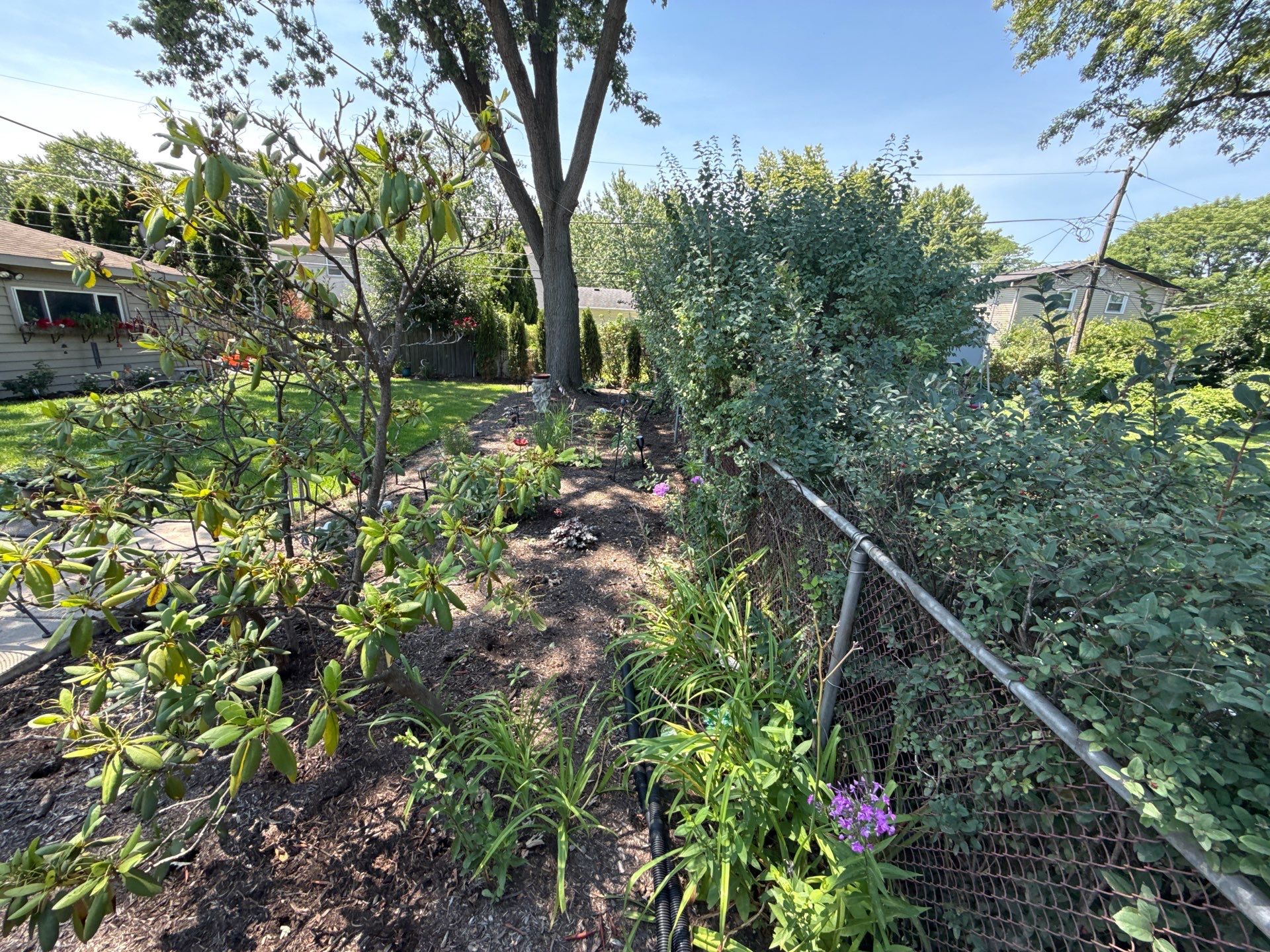 Gina K. - Mount Prospect, IL by A&N 