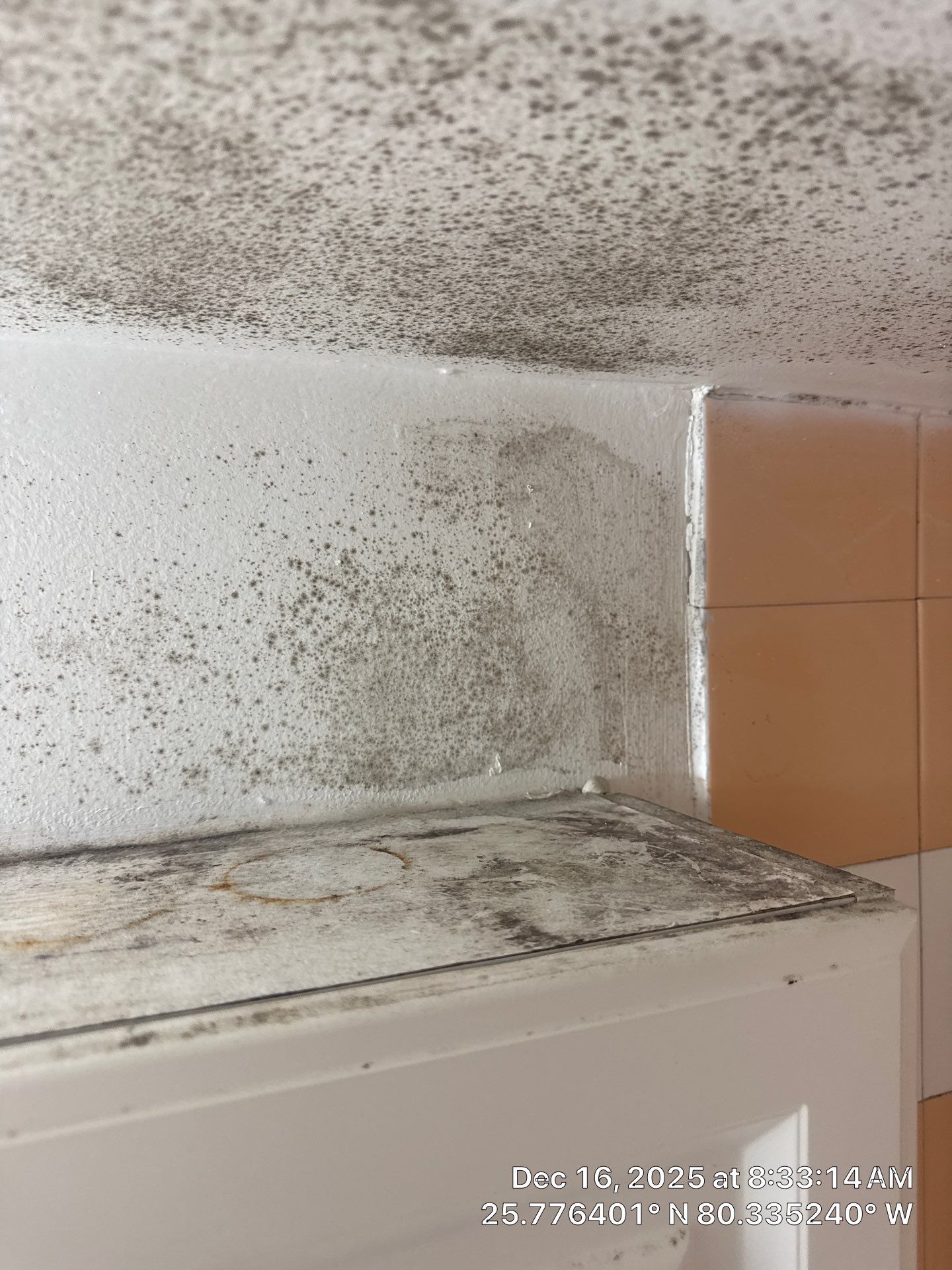 MOLD by SuperClean