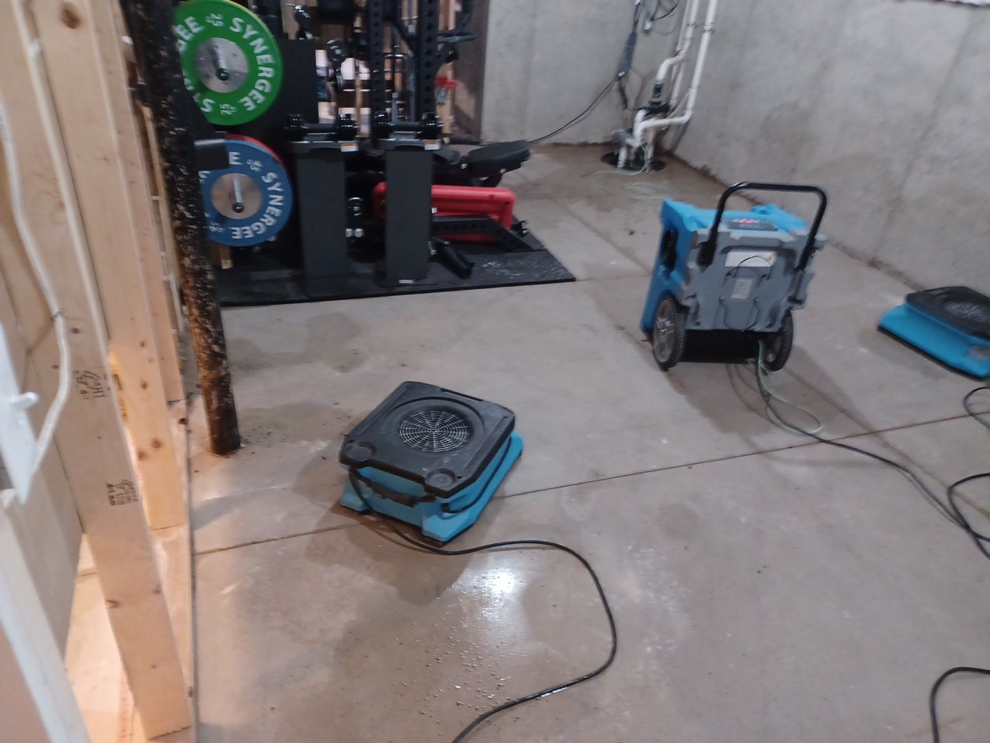 Project in South Lyon by EzDry Water Mitigation & Property Restoration