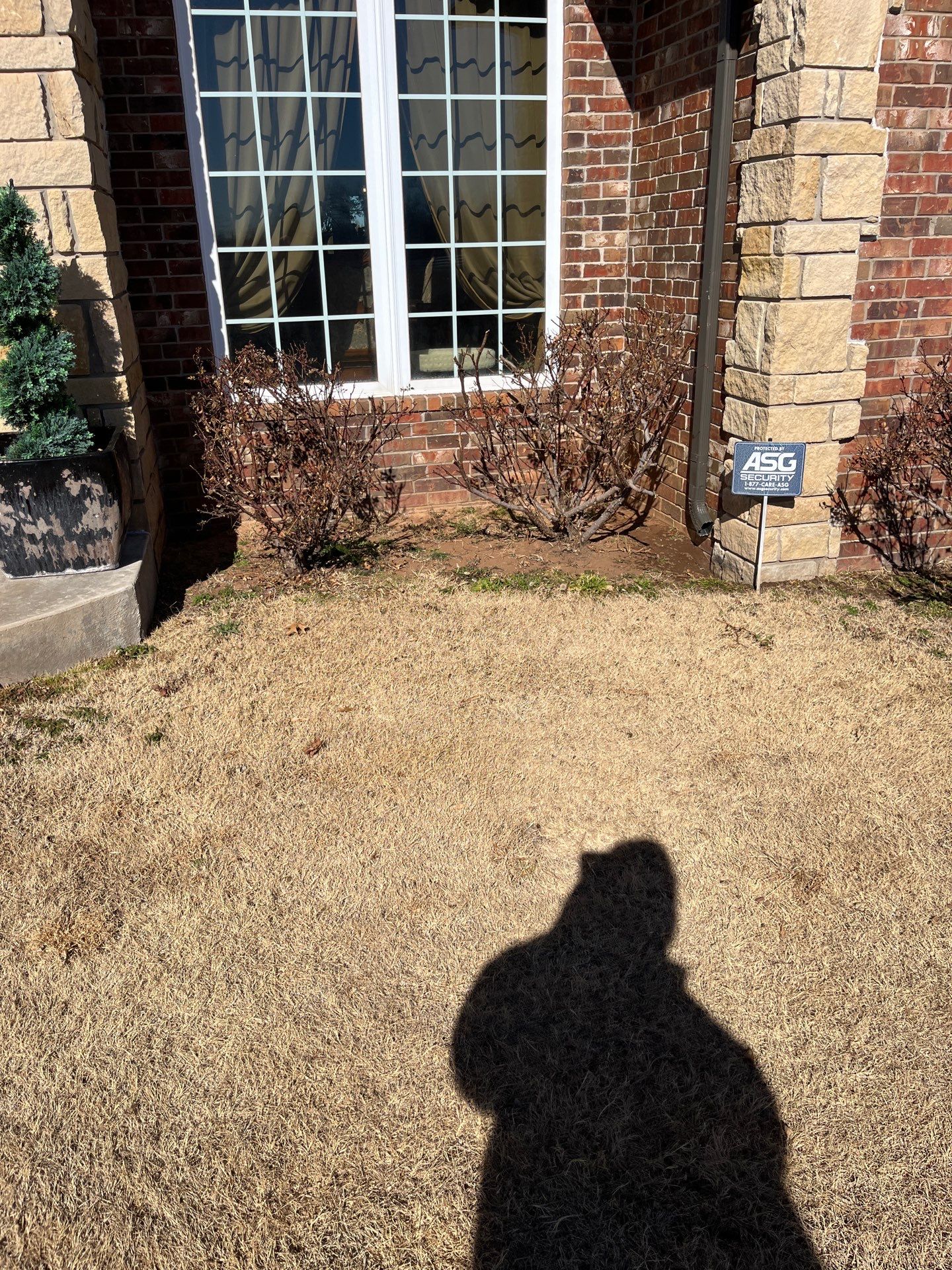 Landscape installation w/ irrigation and landscape lighting by Clays Services Inc