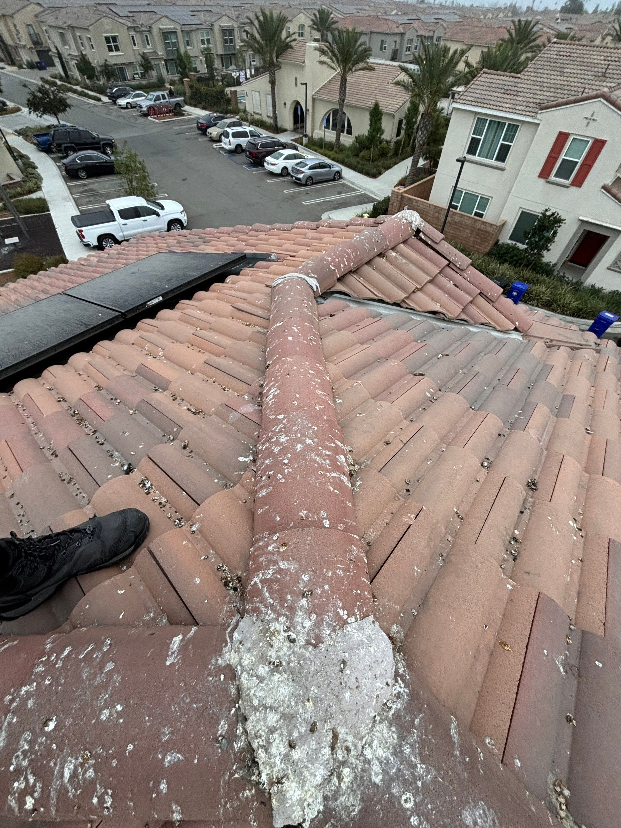 Solar Panel Bird Proofing in Fontana Ca by Palm Coast Solar Cleaning