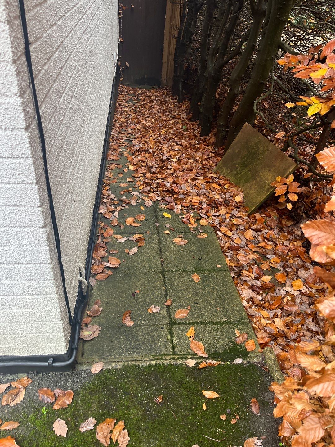Resin Driveway Clean using Honda 15lpm Low Pressure Washing Machine by Ges Exterior Cleaning ltd