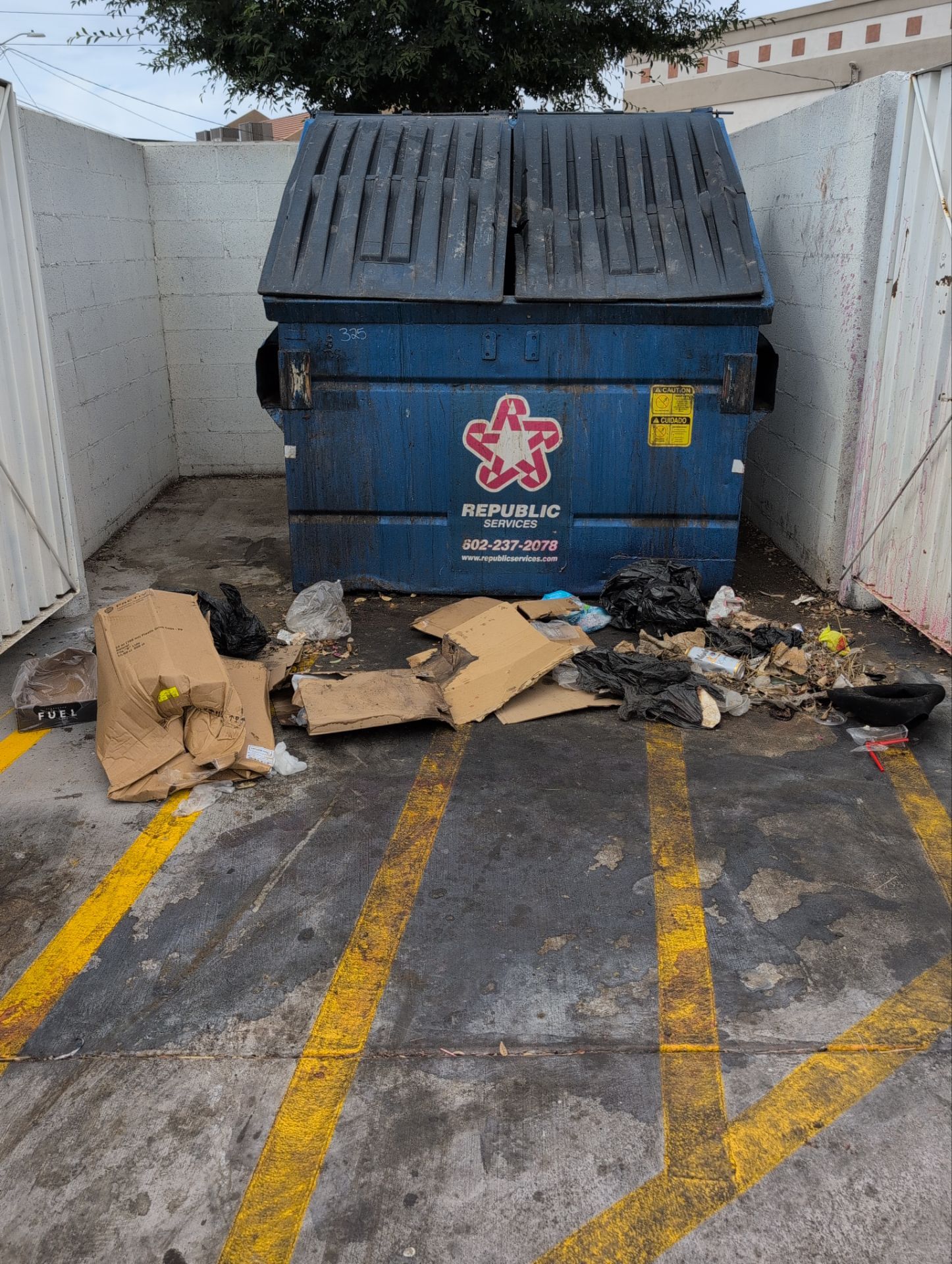 Southwest Retail Monthly Dumpster Pad Cleaning | Chandler, AZ 85225 by Patriot Power Washing & Sanitation