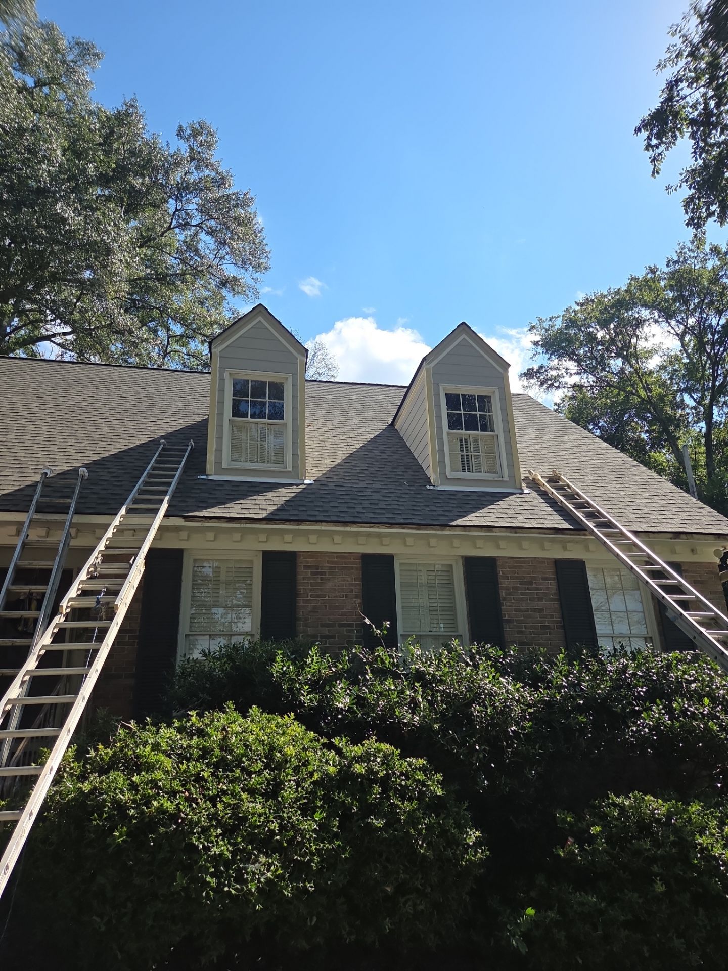 Florio Project in Vestavia  by The Window Source