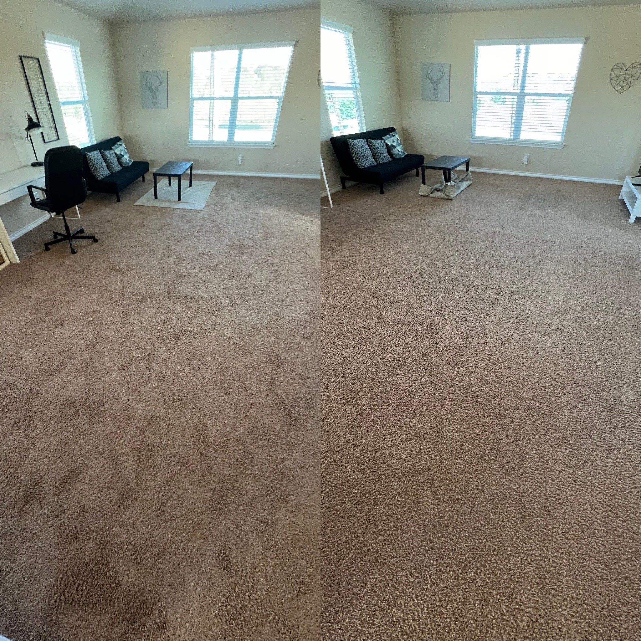 the service being done is deep cleaning and refreshing the carpet in a living room area with furniture removed