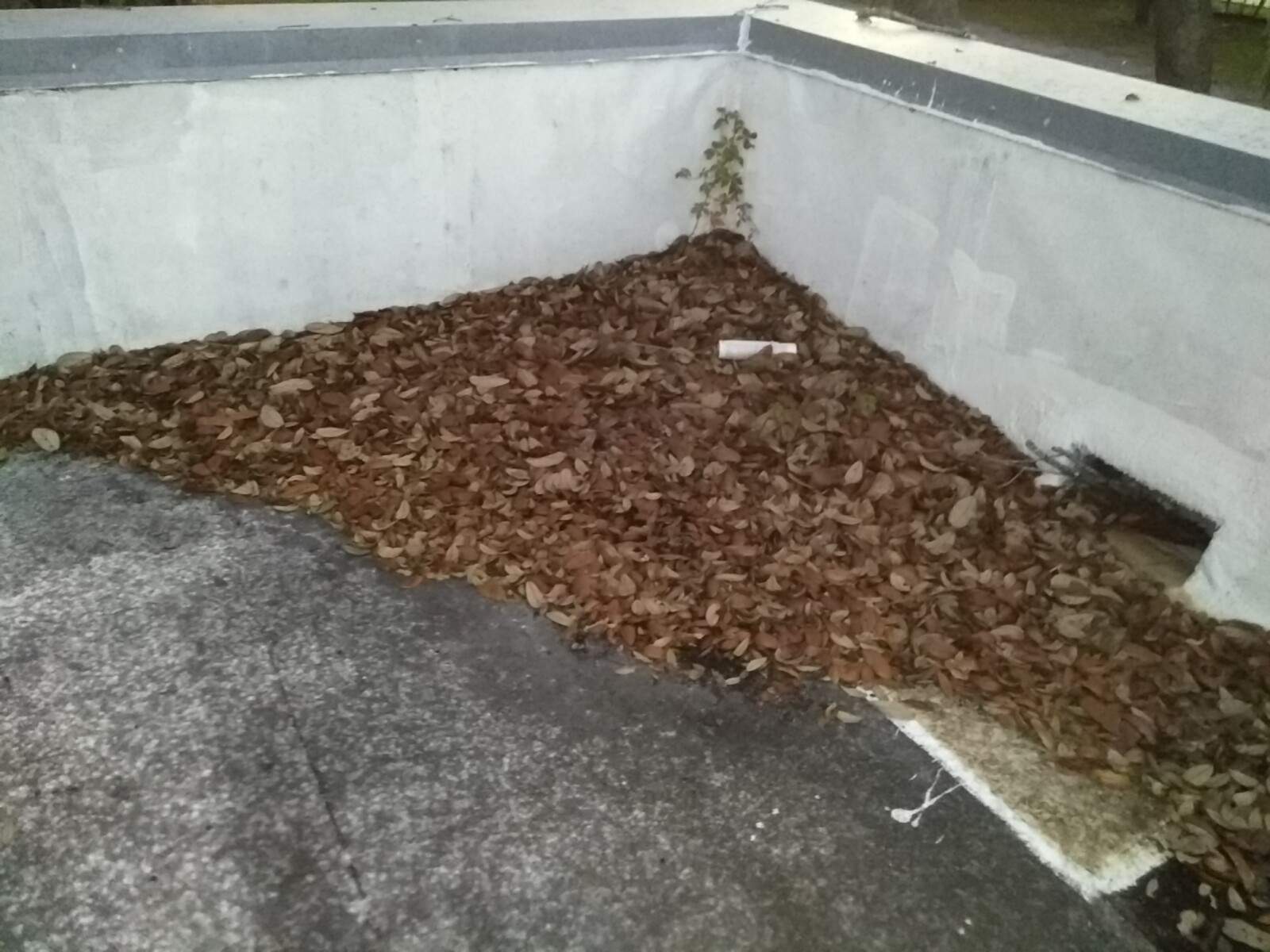 Roof Moisture Survey using Thermal Drone & Thermal Camera by FLORIDA ROOF CONSULTING & INSPECTION SERVICES