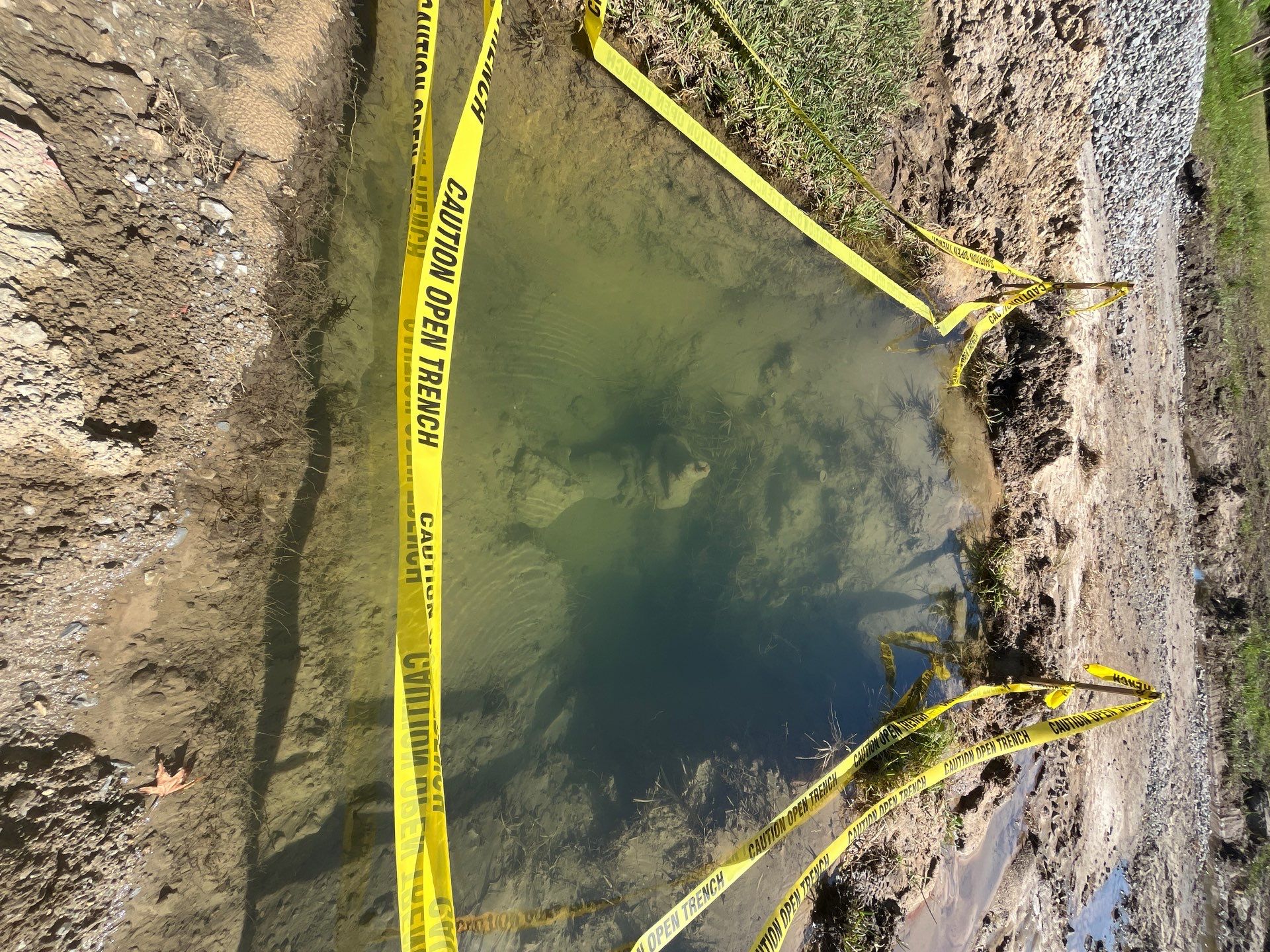 Commercial Abatement by EAS Environmental, LLC.