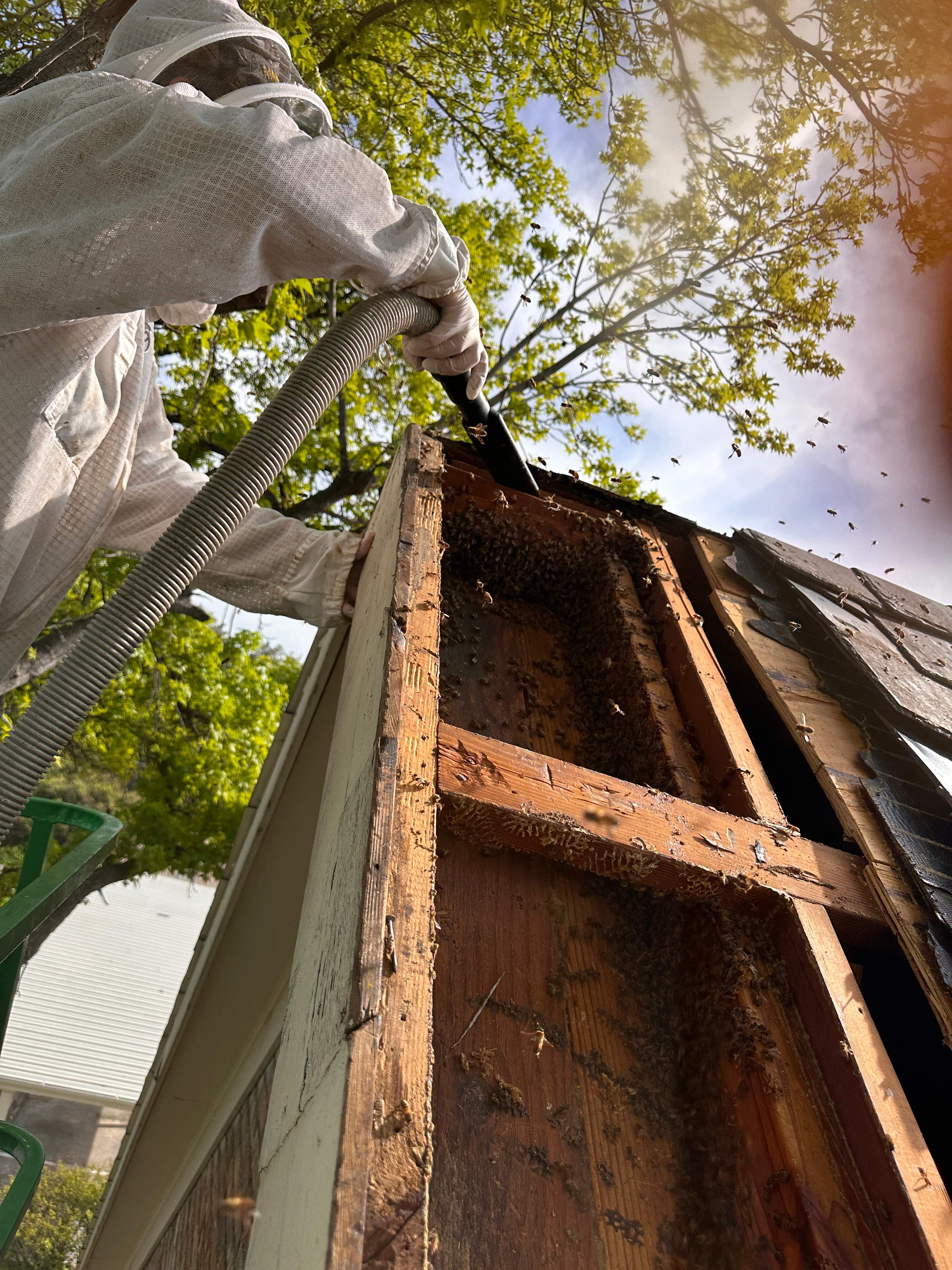 Commercial Roof by Rockwall Honey Bee Company