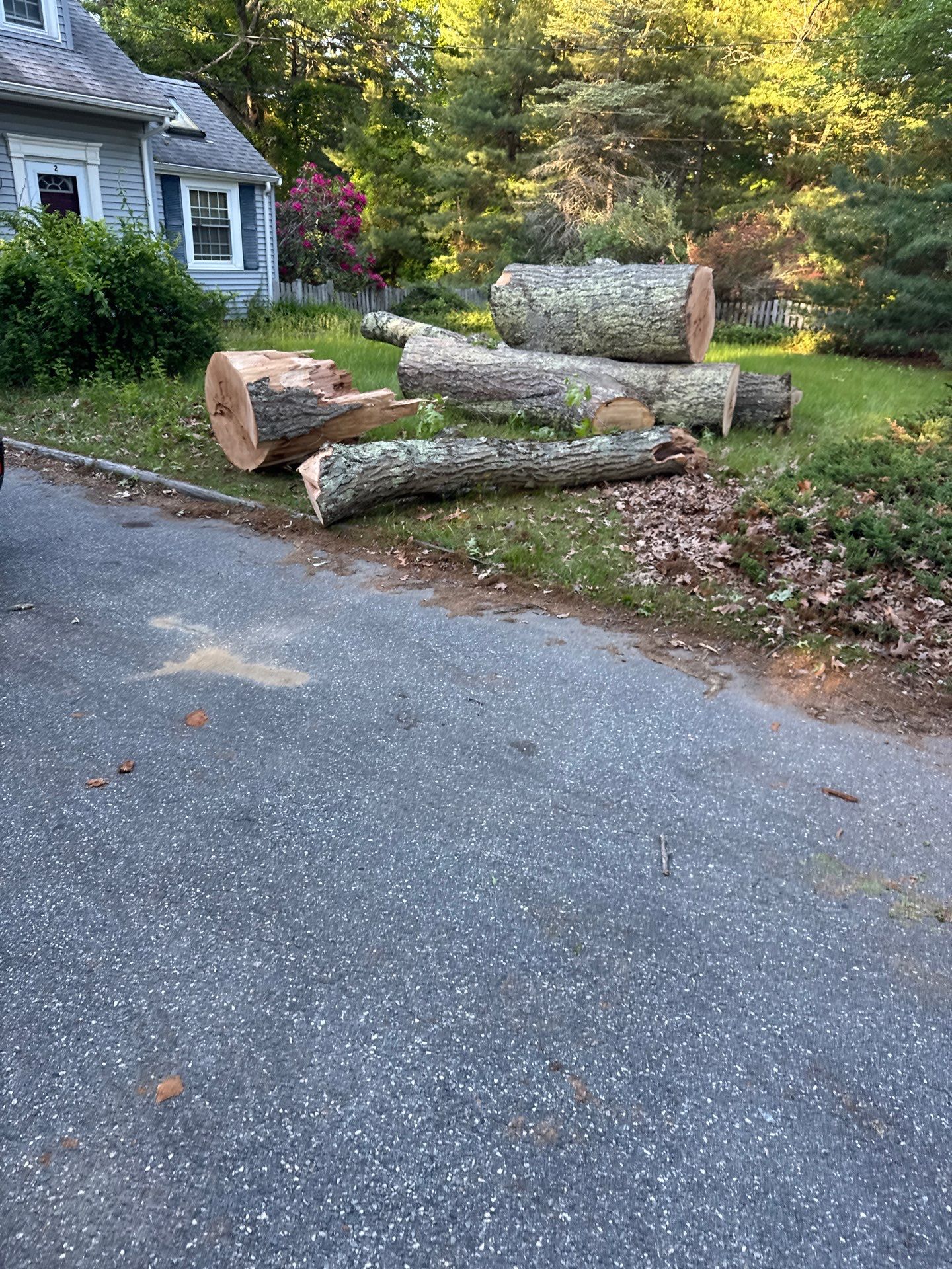 Emergency Temporary repair due to a Tree impact in North Reading by Boston Board Up